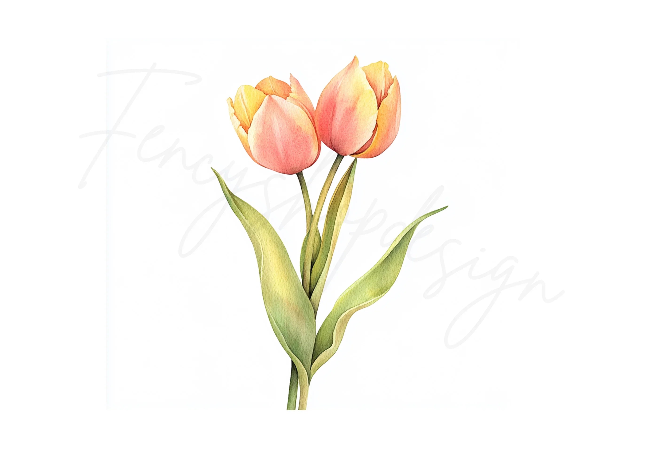 Pink Tulip Flower Clipart Bundle