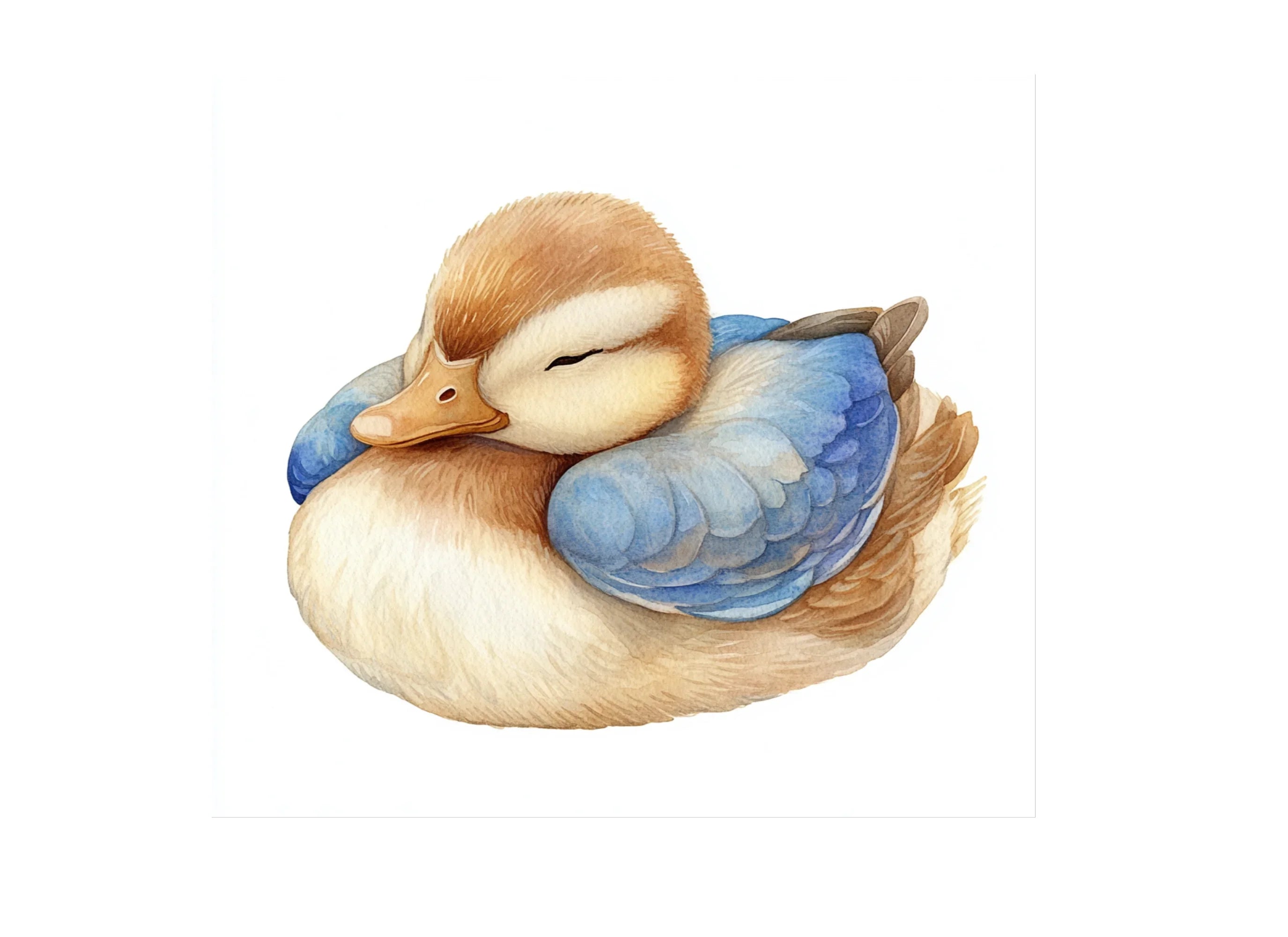 Cute Sleeping Duckling Clipart Bundle