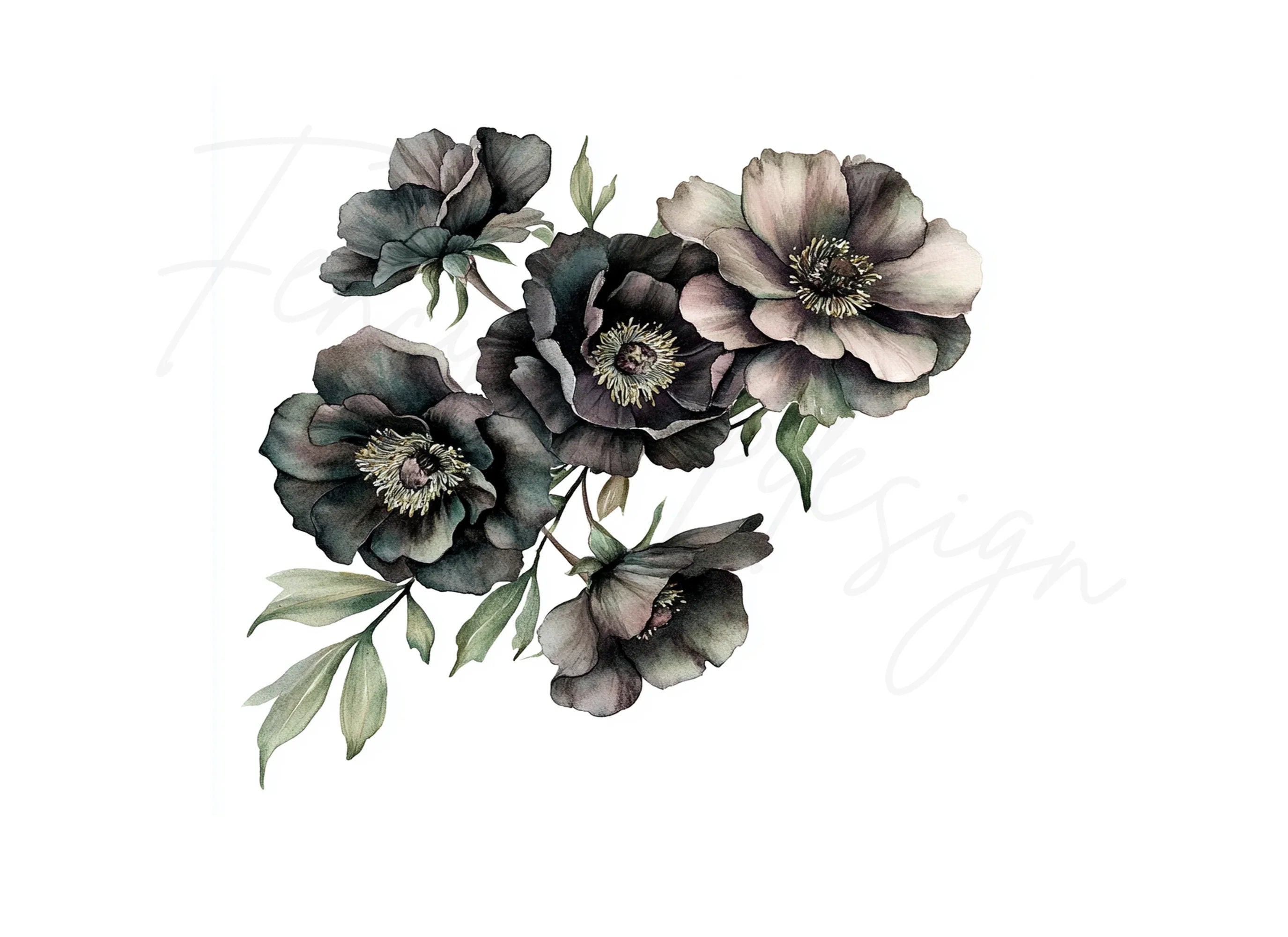 Moody Black Rose Clipart Bundle