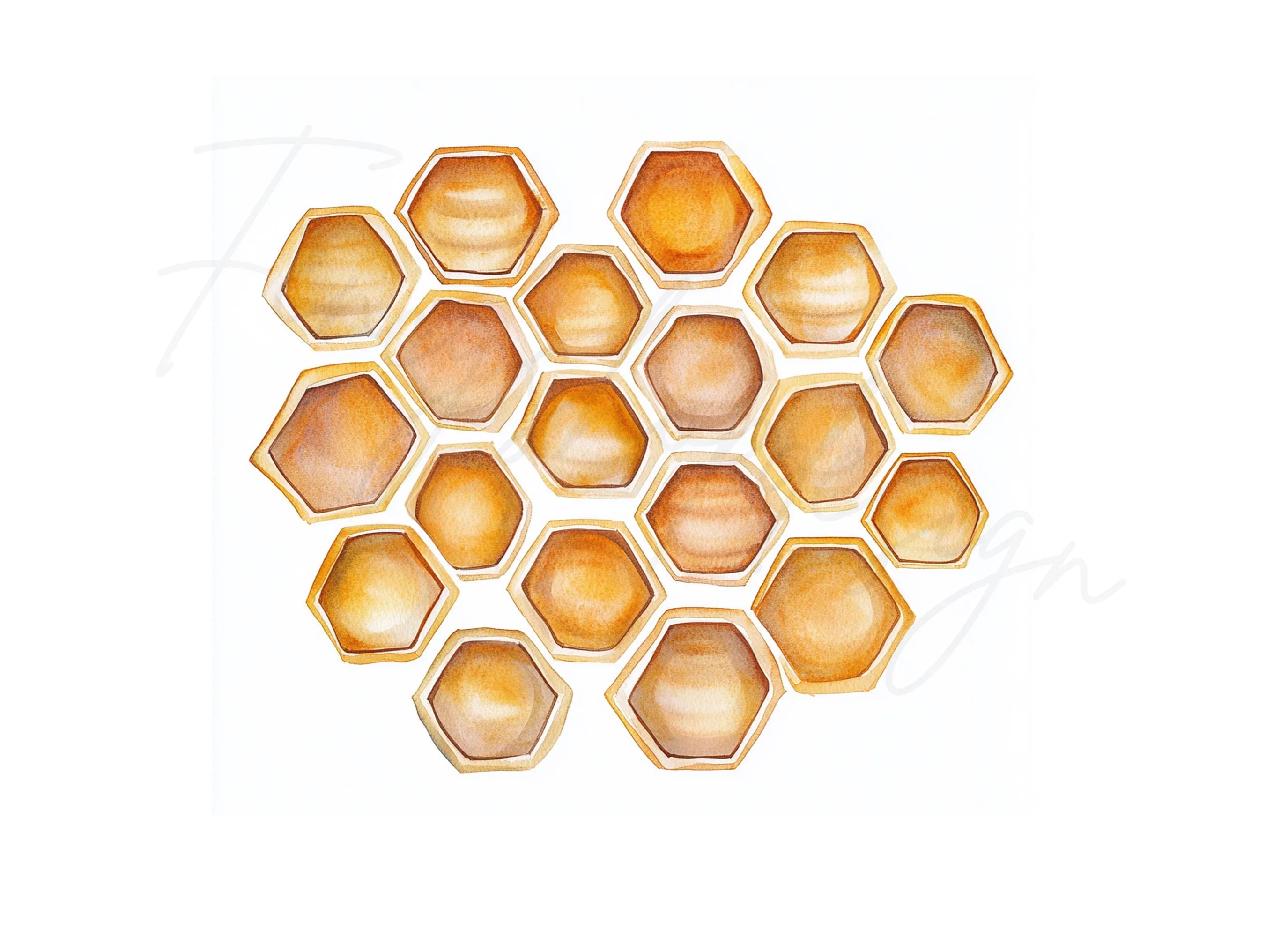 Honeycomb Clipart Bundle
