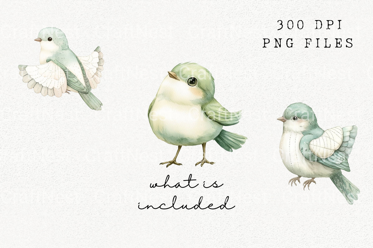Adorable Green Blue Bird Clipart Bundle