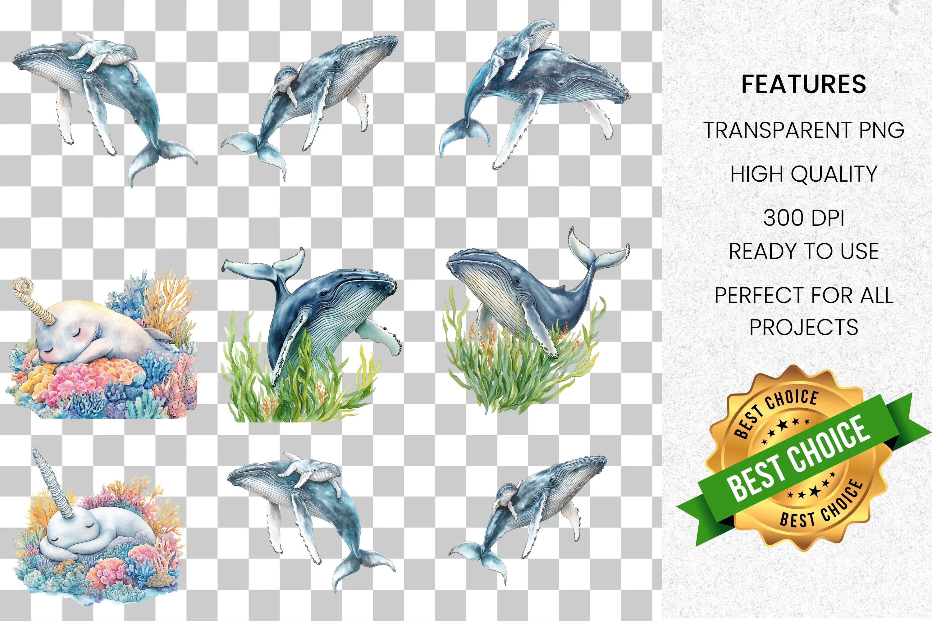Whale and Narwhal Ocean Creatures Clipart Bundle
