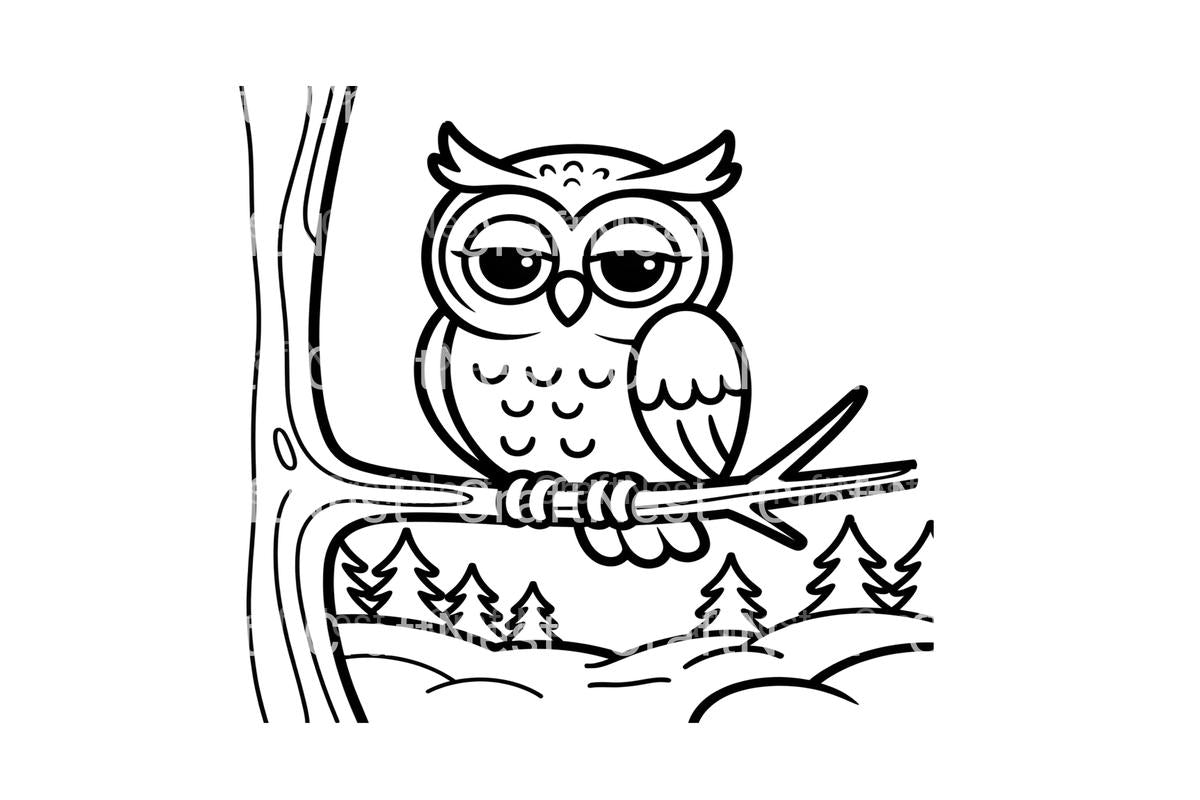 Cute Winter Owl Coloring Books