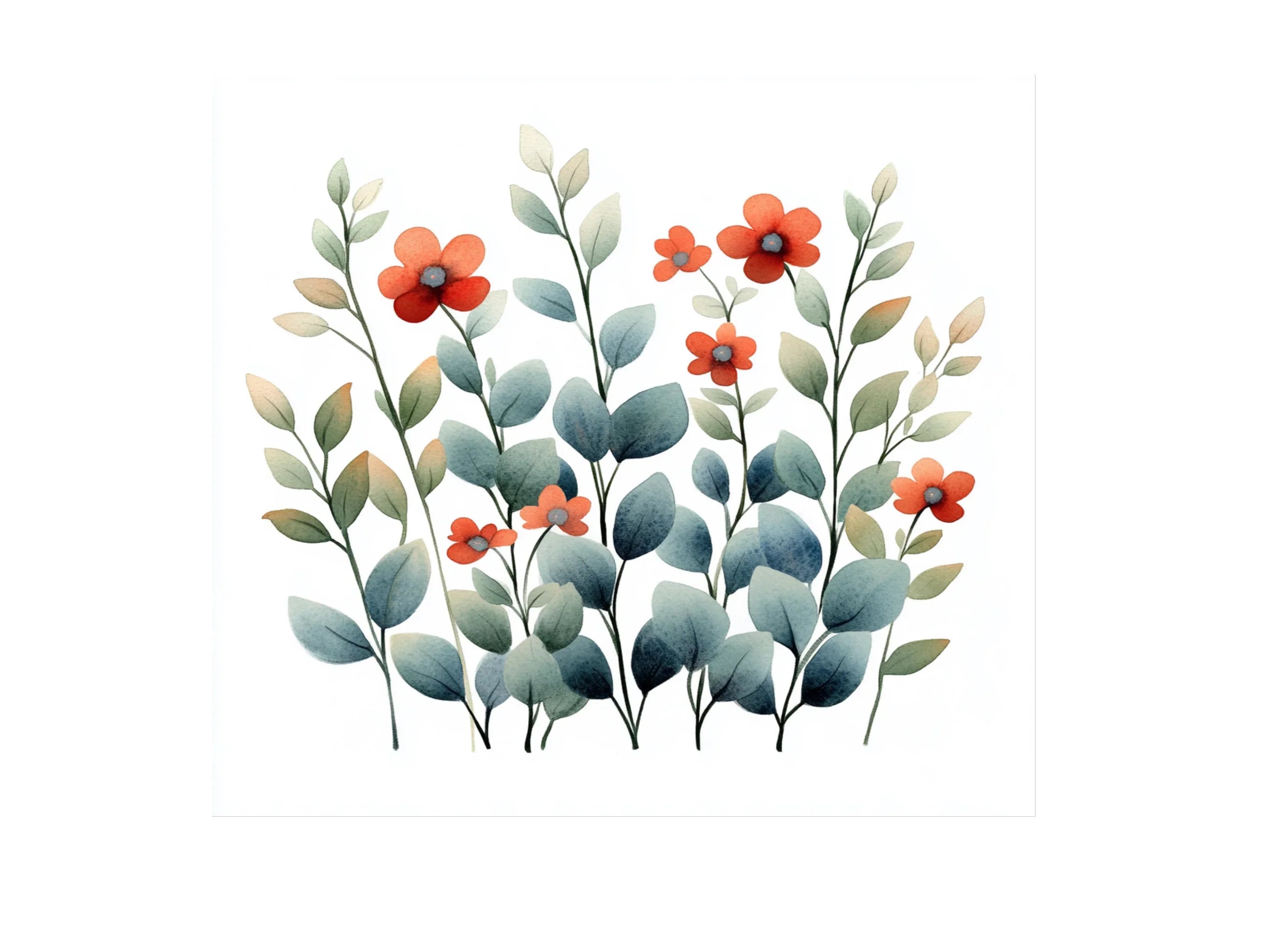 Eucalyptus and Poppy Clipart Bundle