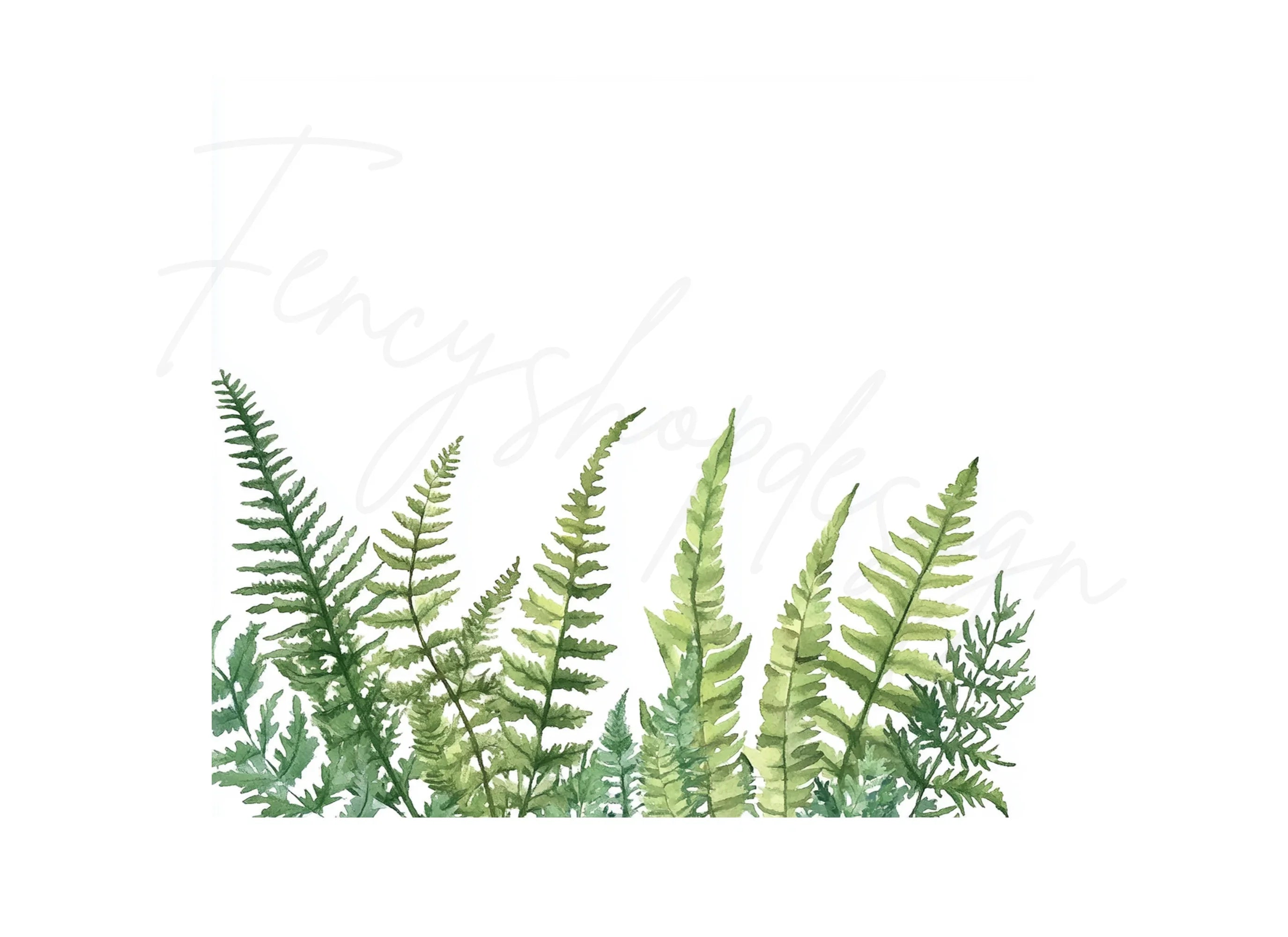 Fern Border Clipart Bundle