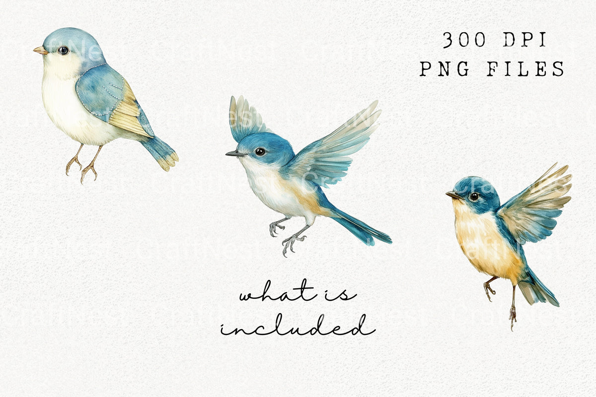 Adorable Blue Bird Designs Clipart Bundle