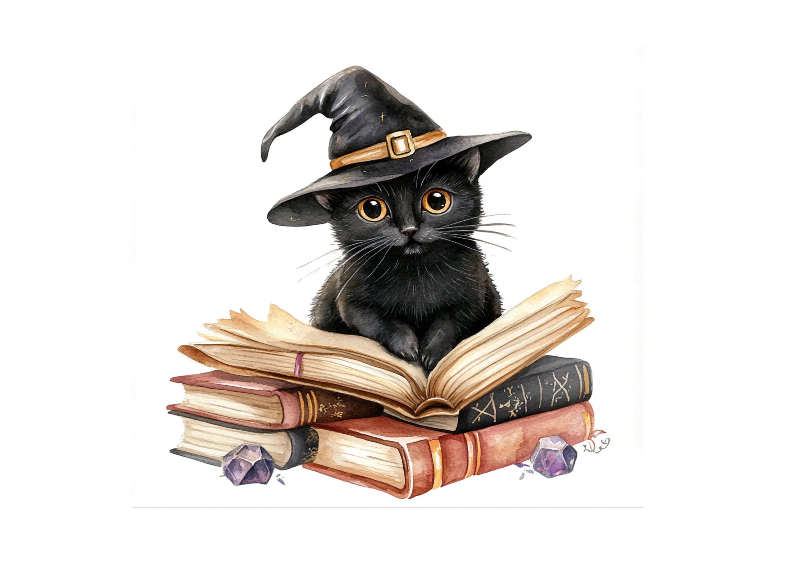 Black Cat on Books Clipart Bundle