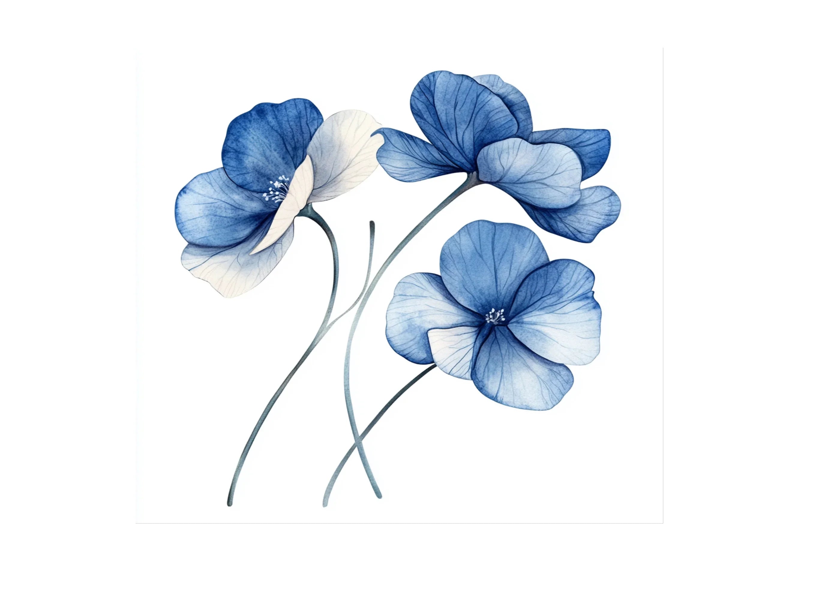 Elegant Blue Flower Clipart Bundle