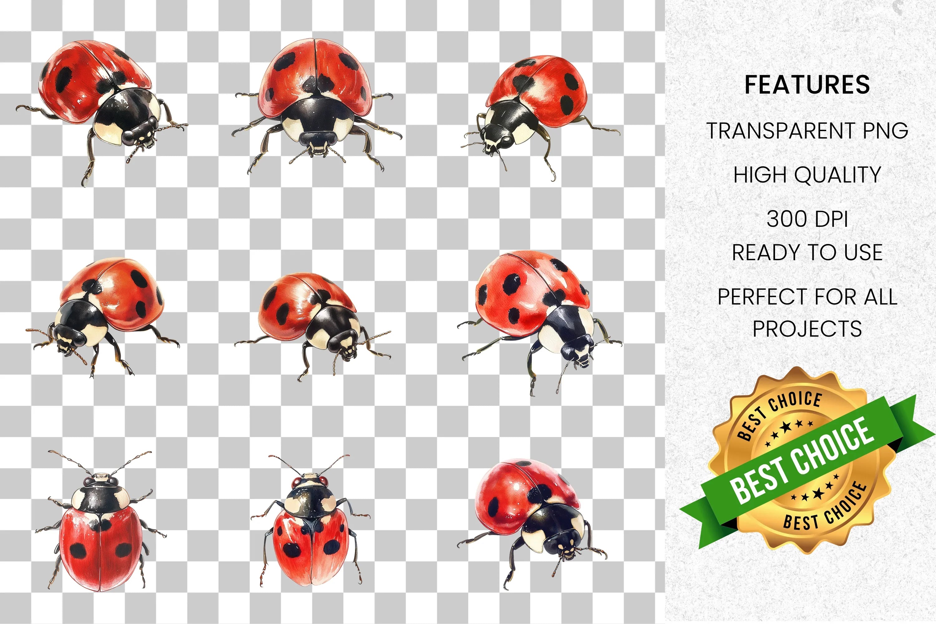 Ladybug Clipart Bundle