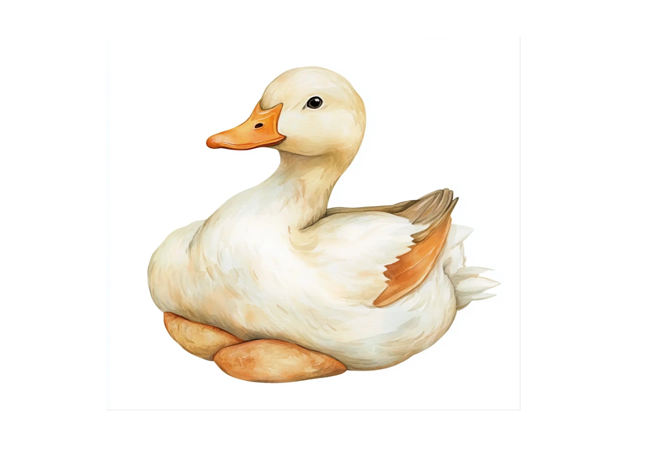 Cute Duck Clipart Bundle