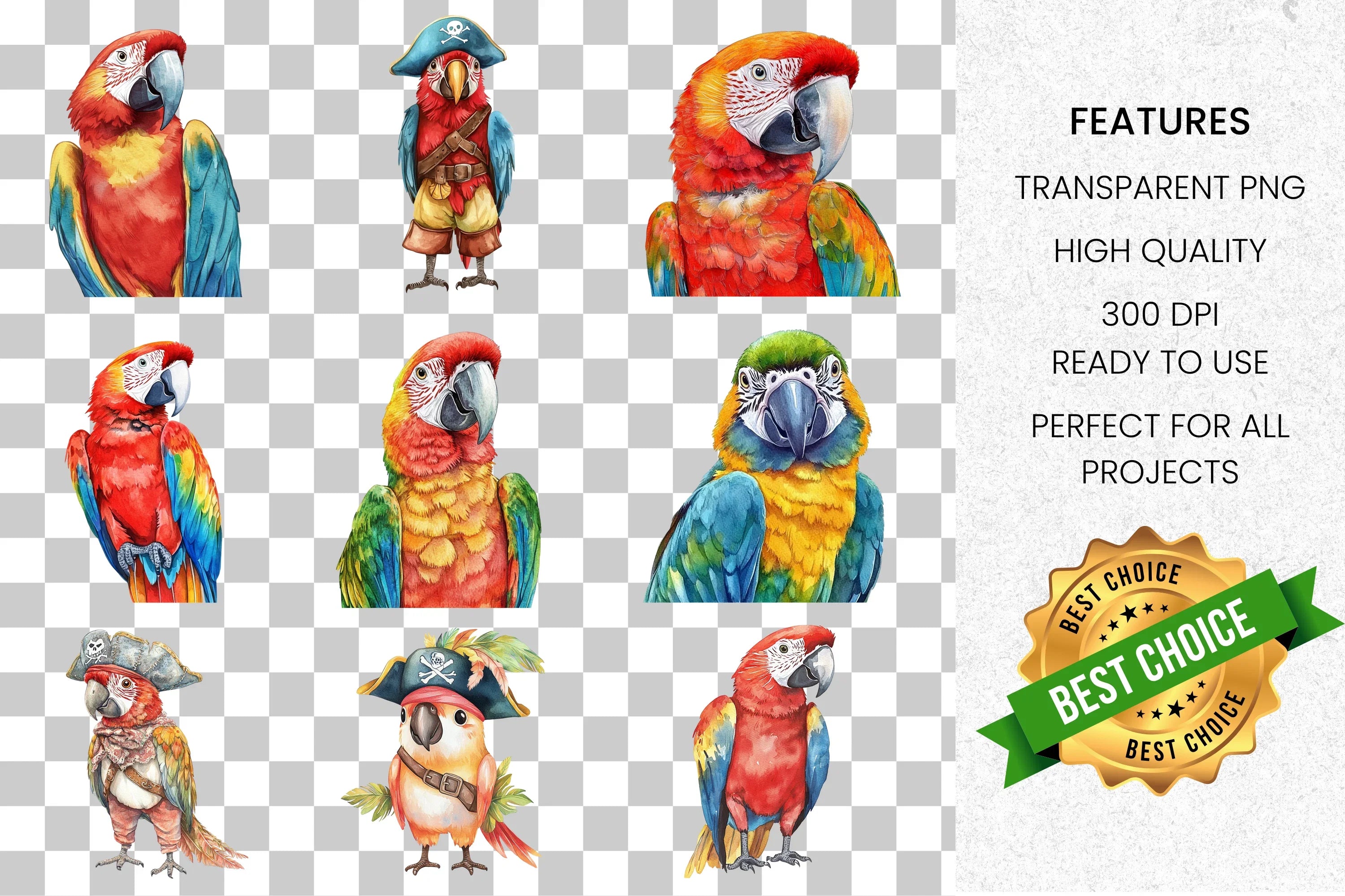 Vibrant Macaw Parrot Clipart Bundle