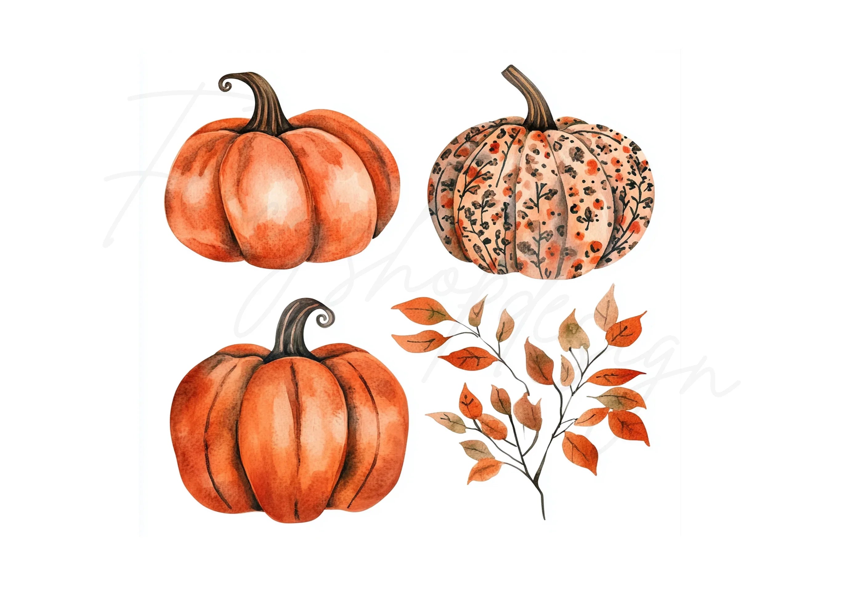 Rustic Fall Pumpkin Leaves Clipart Bundle