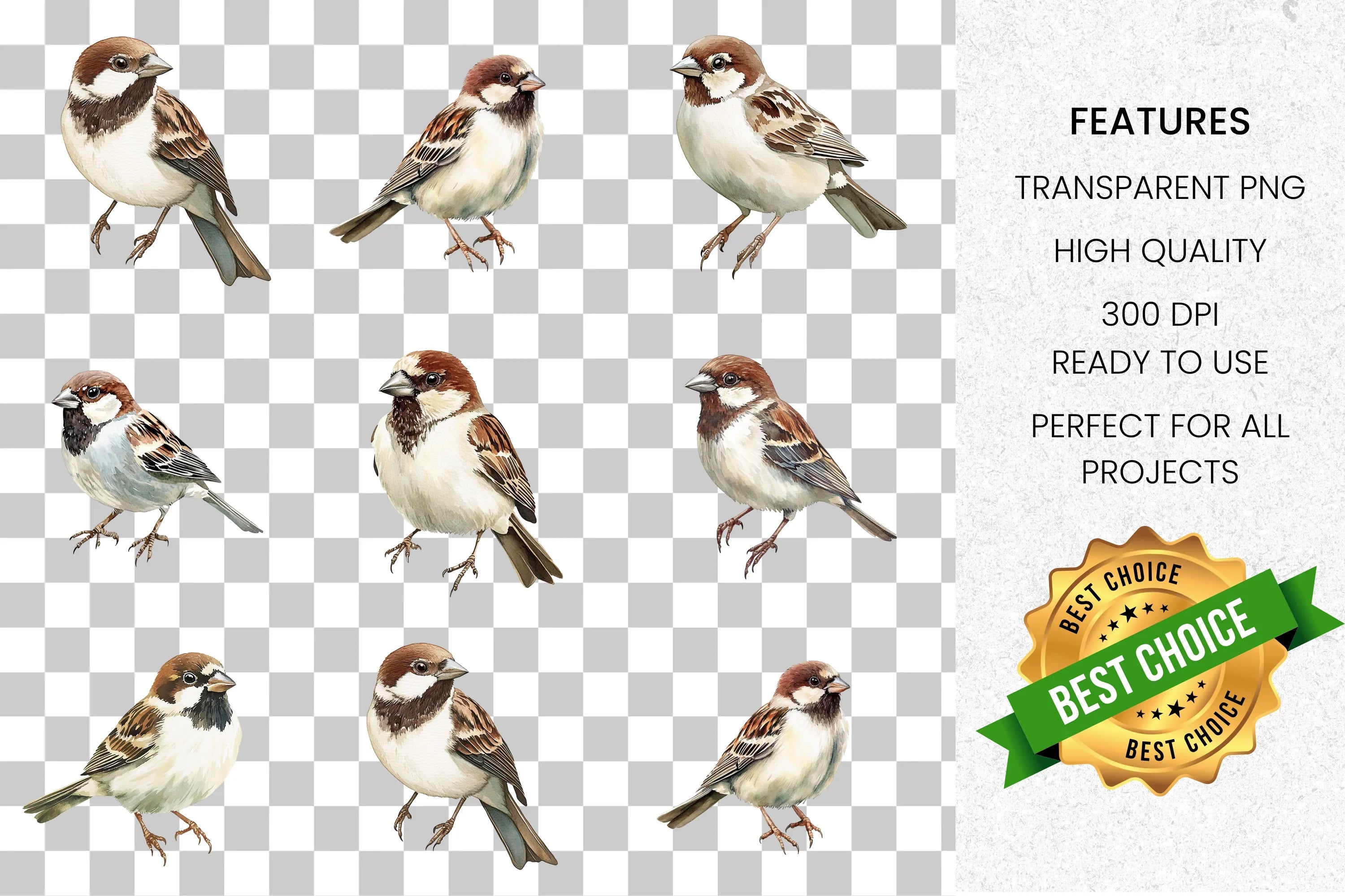 Charming Garden Sparrows Clipart Bundle