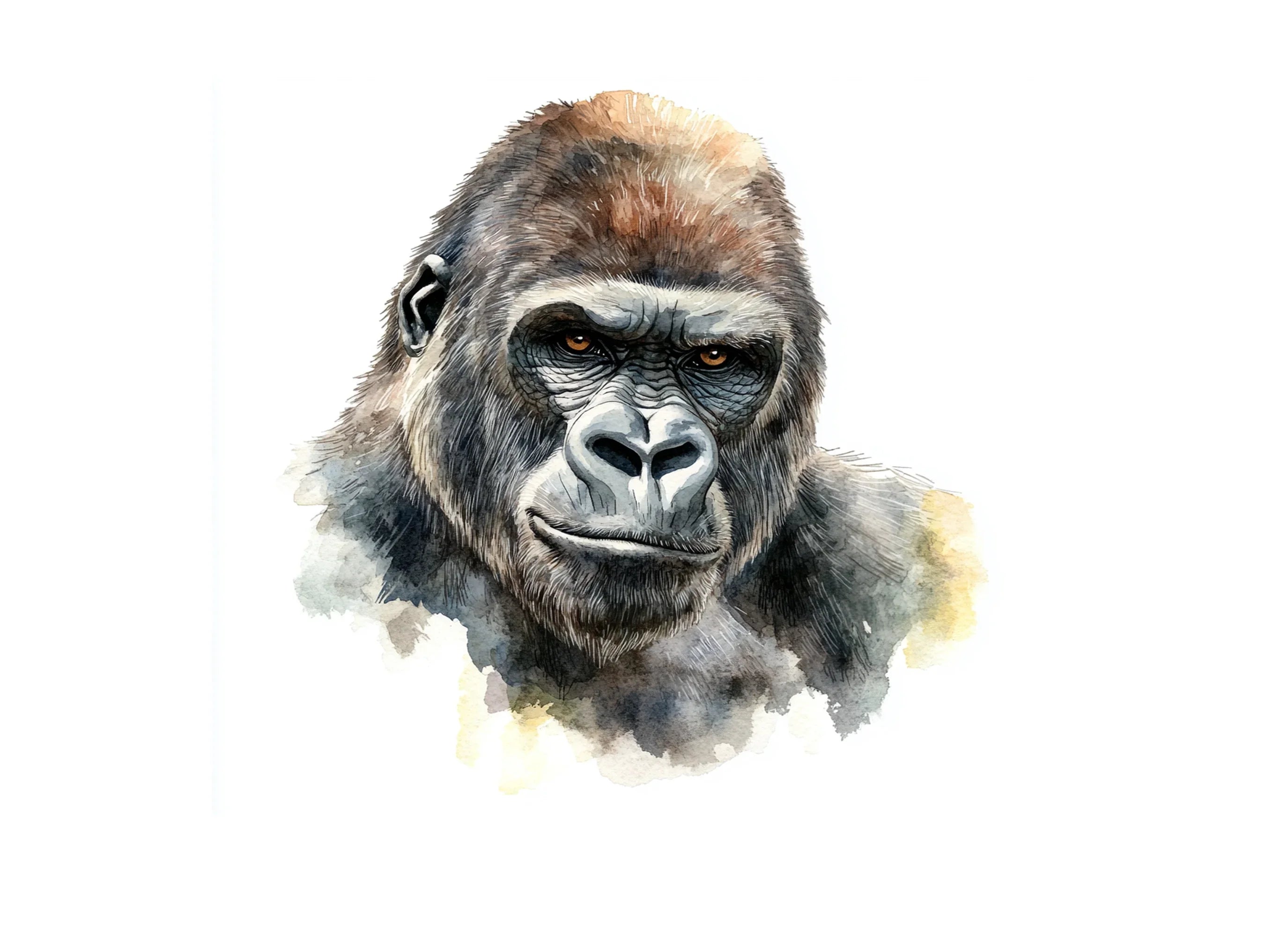 Expressive Gorilla Clipart Bundle