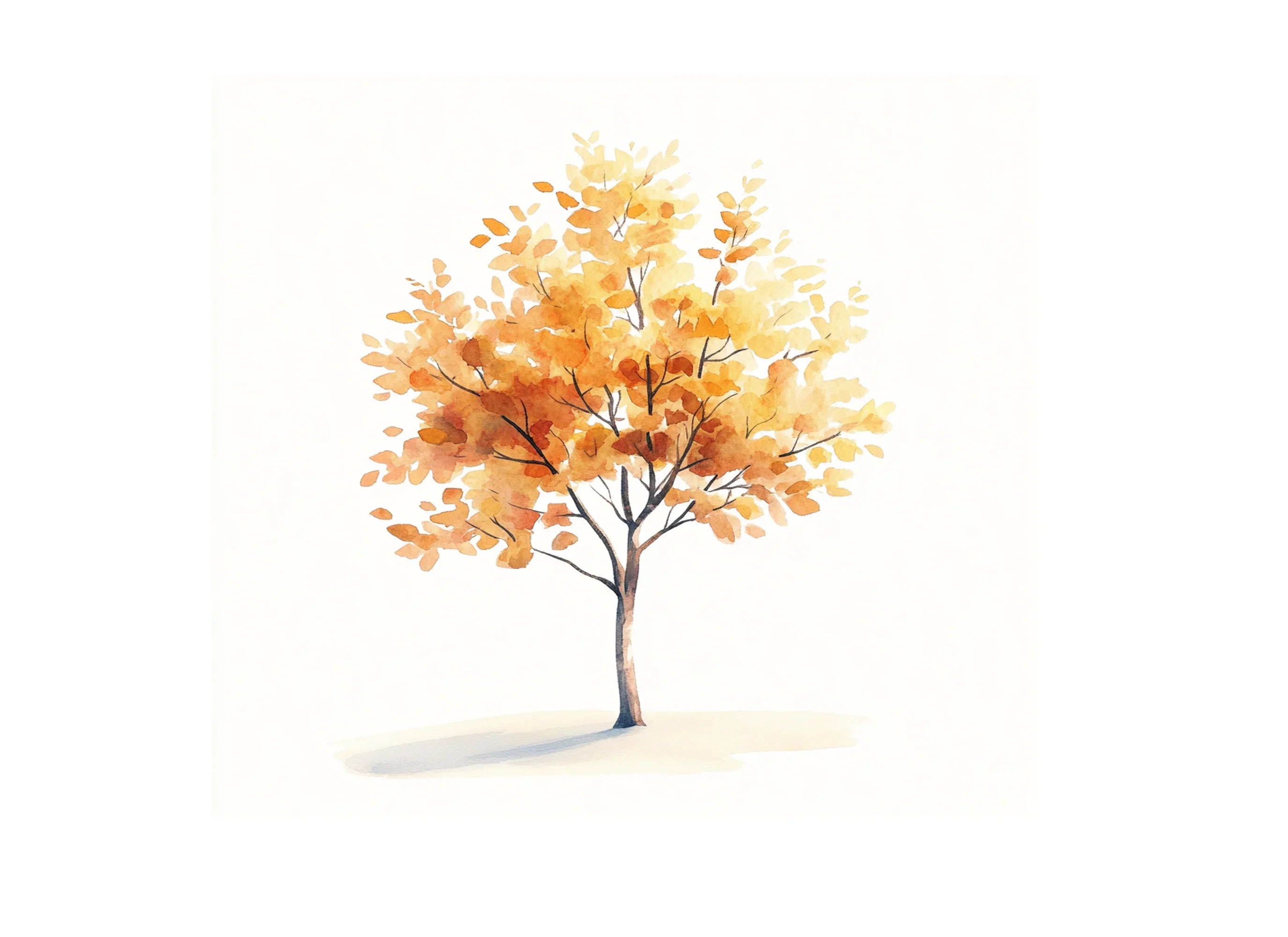 Autumn Trees Clipart Bundle