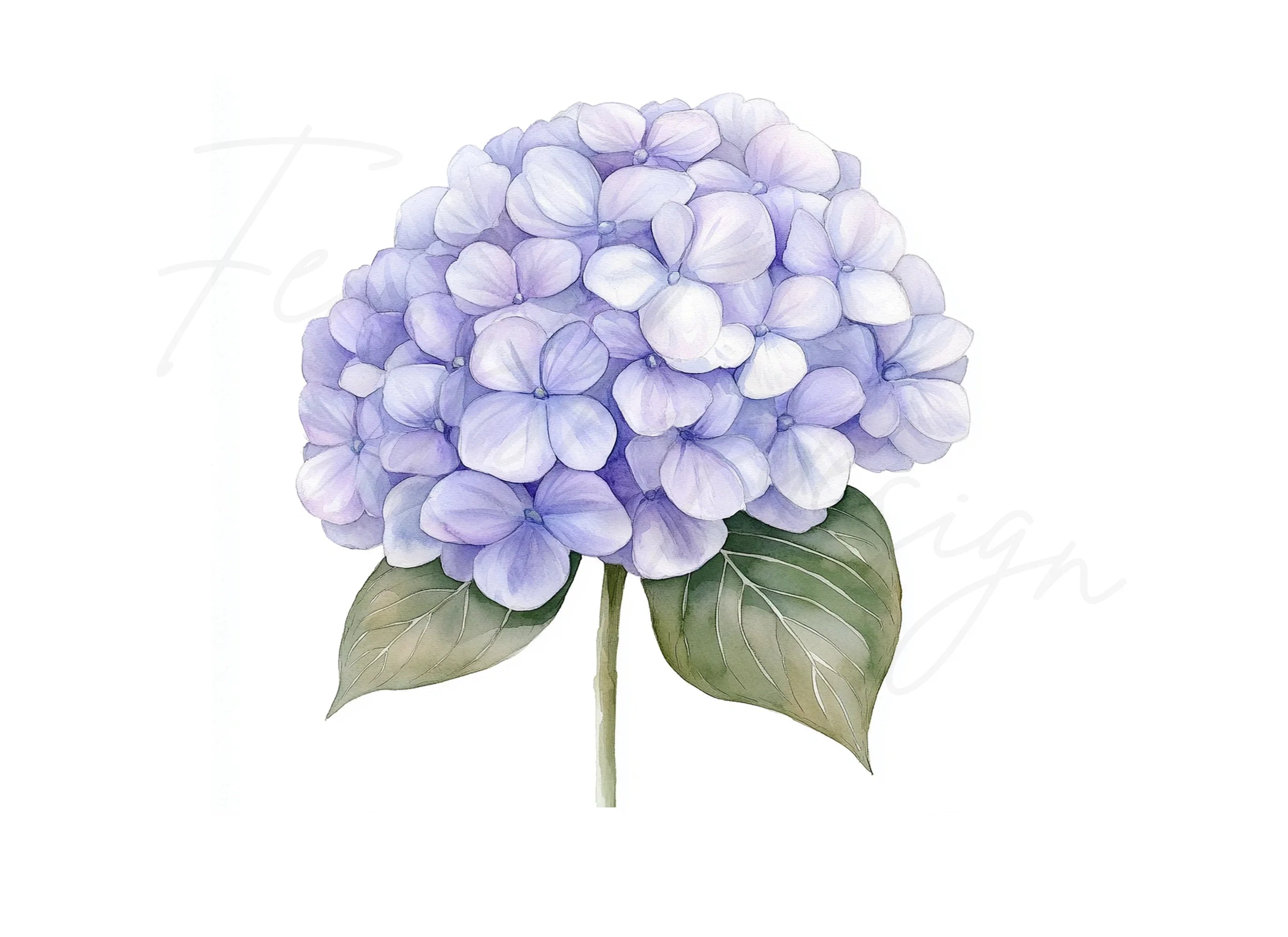 Purple Hydrangea Clipart Bundle