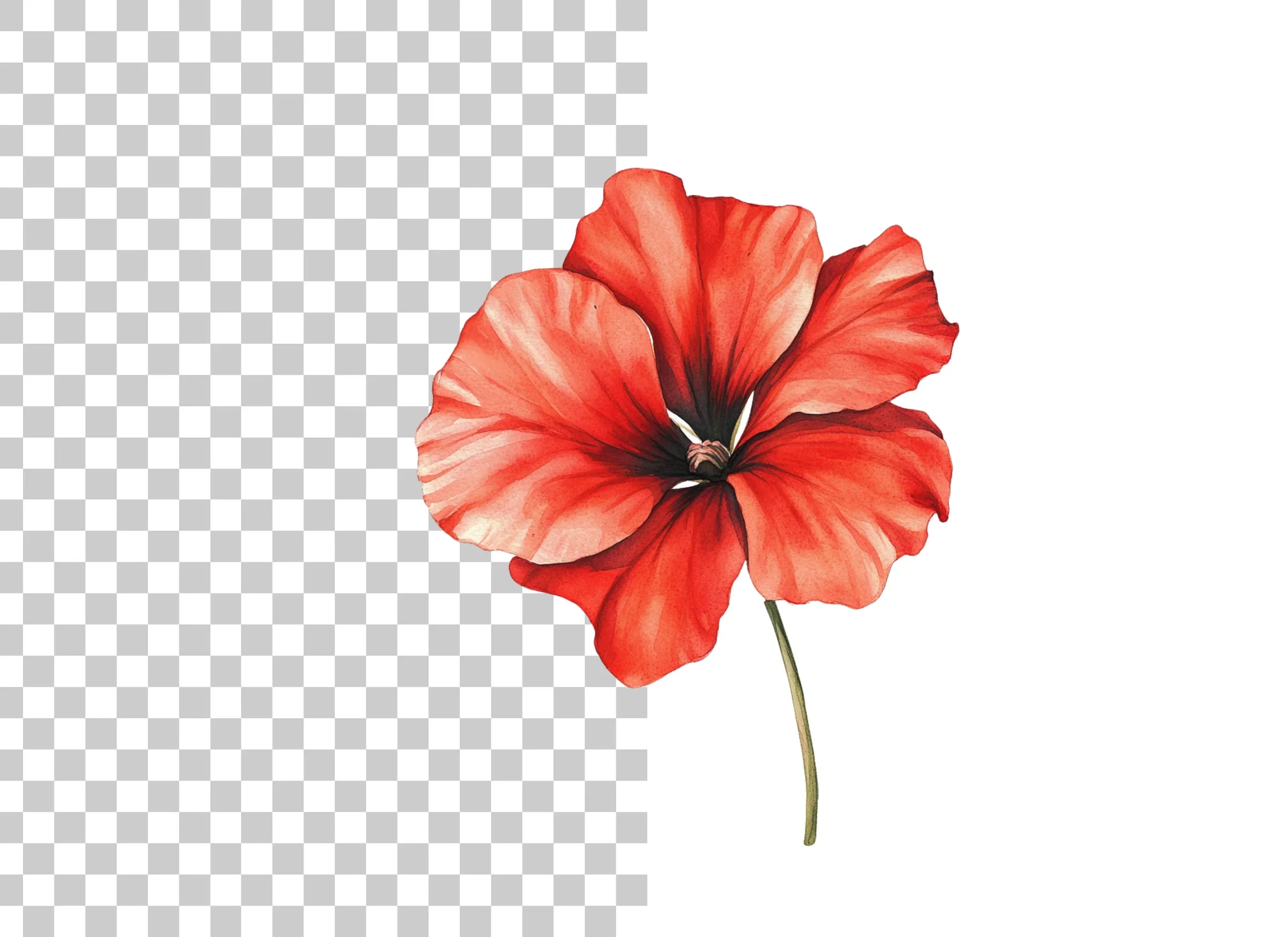 Vibrant Red Geranium Flower Clipart Bundle