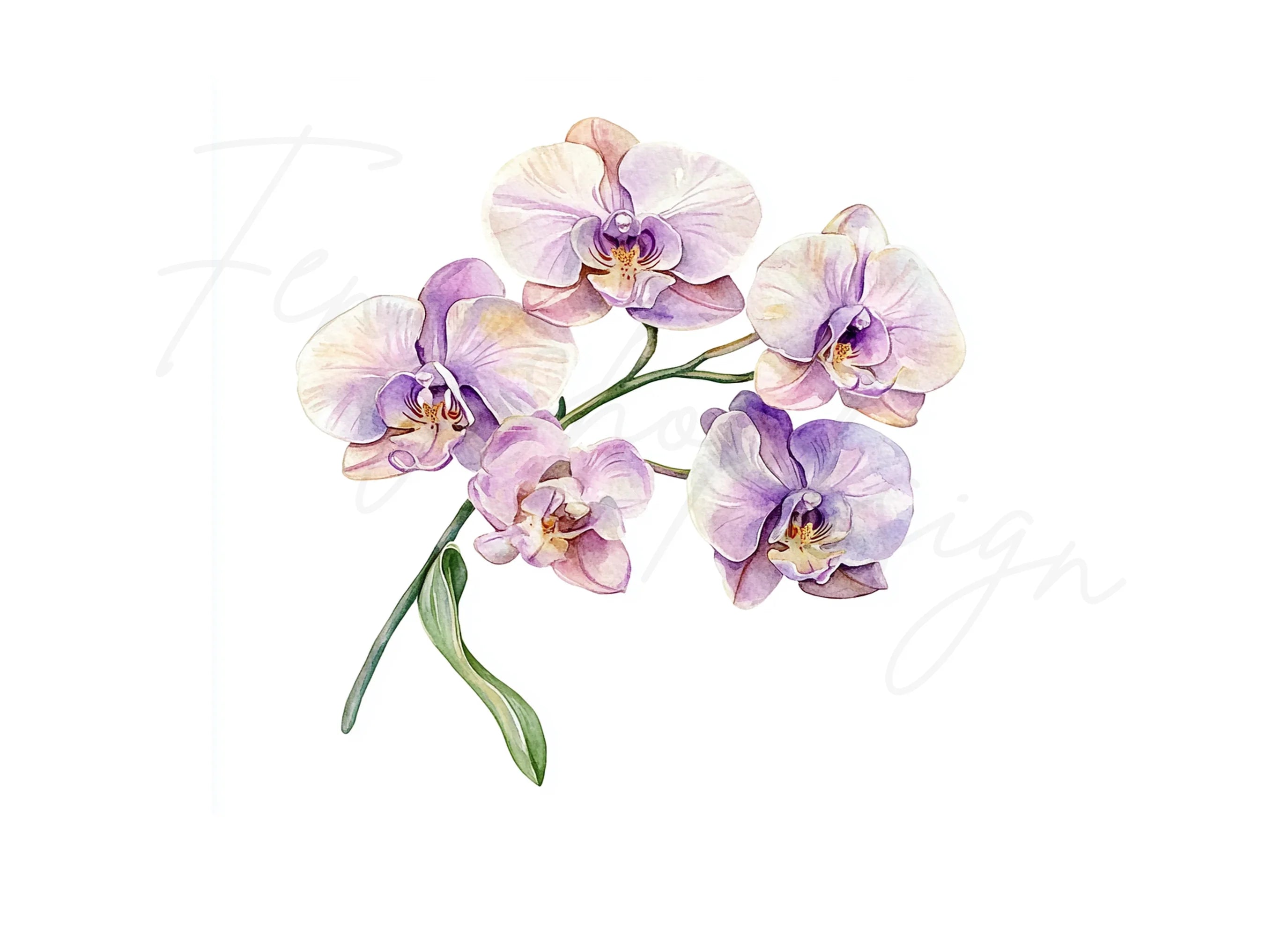 Elegant Orchid Clipart Bundle