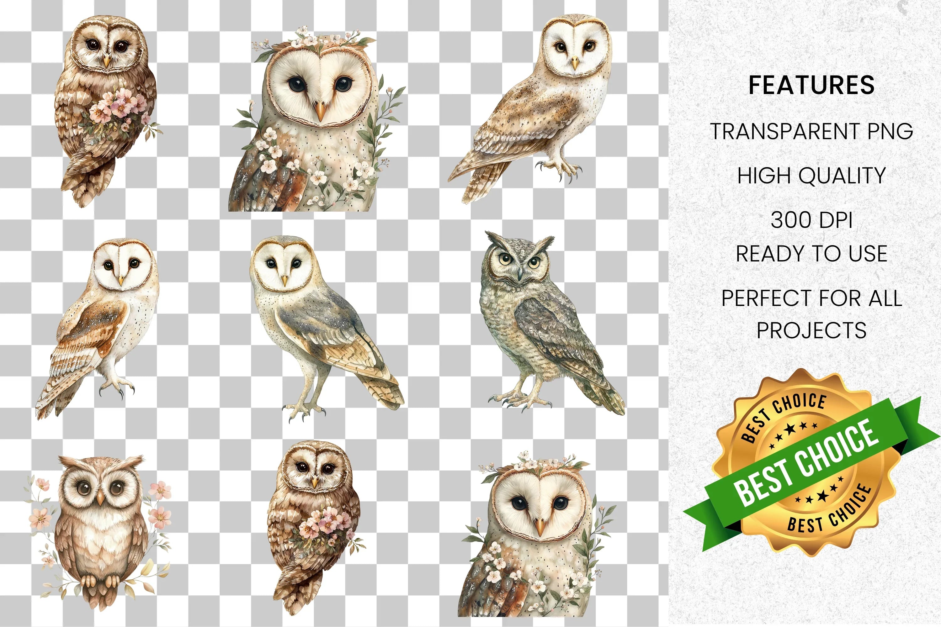 Cute Floral Owl Clipart Bundle