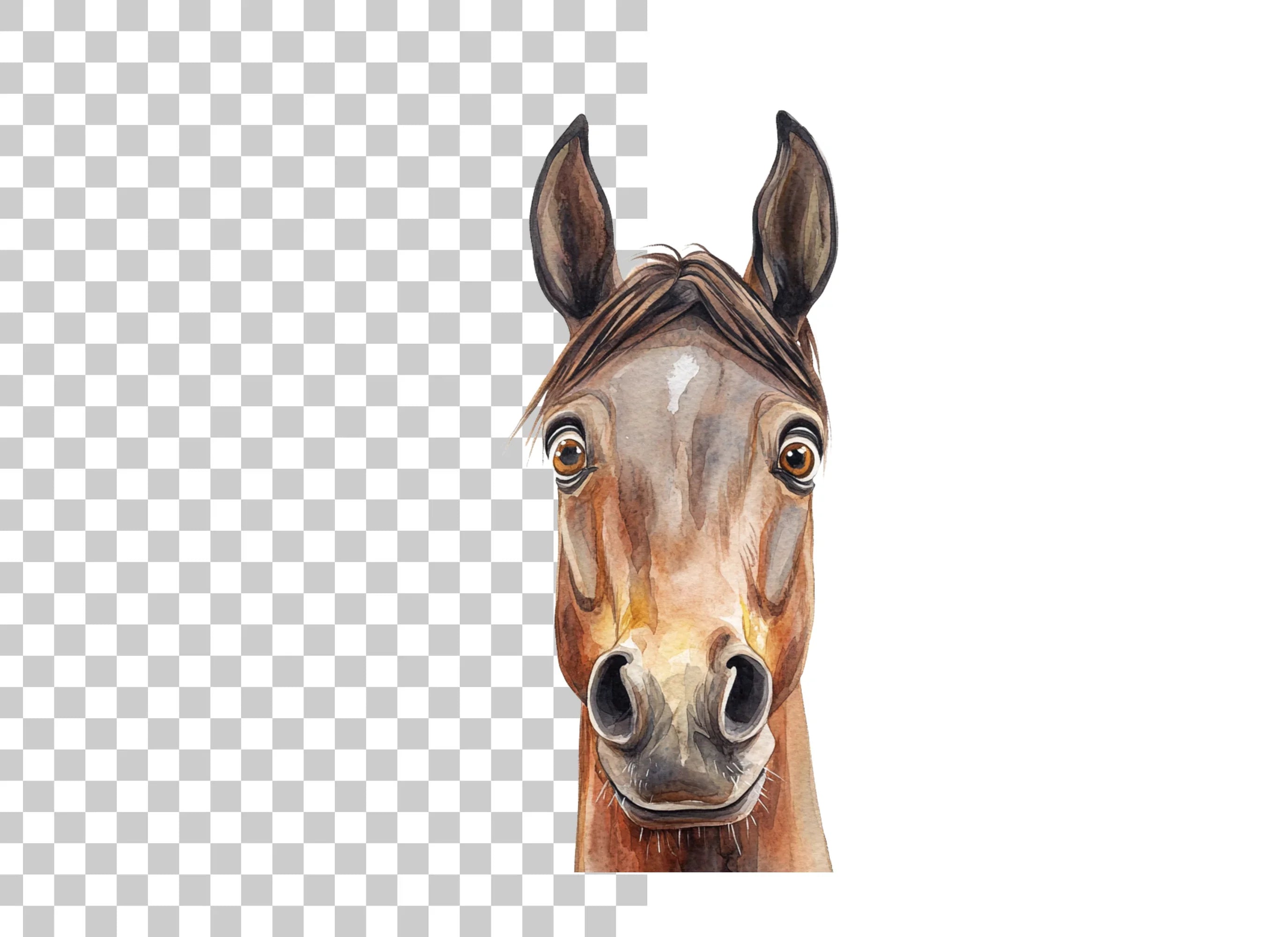 Realistic Horse Head Clipart Bundle