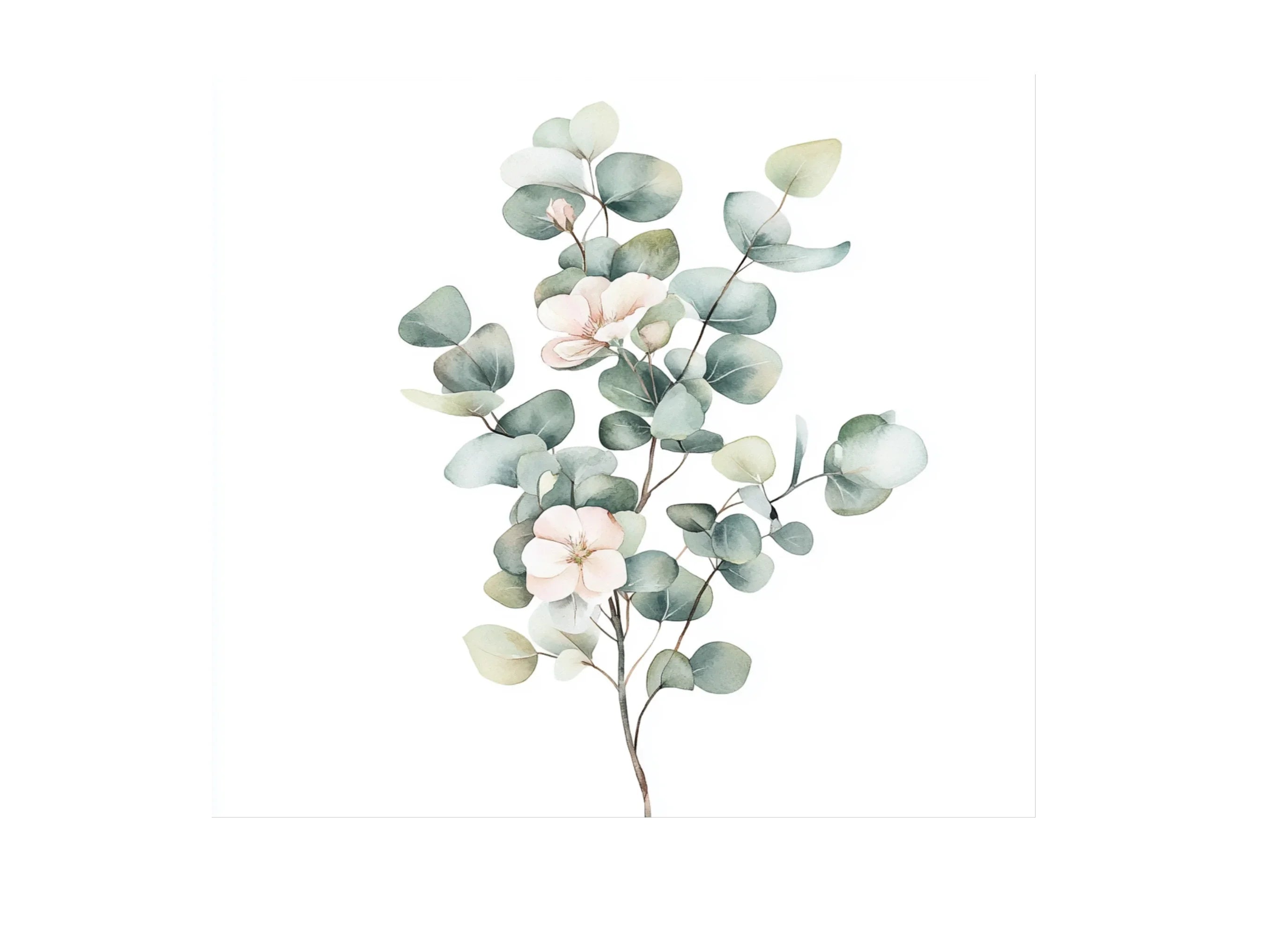 Soft Eucalyptus Leaves Clipart Bundle