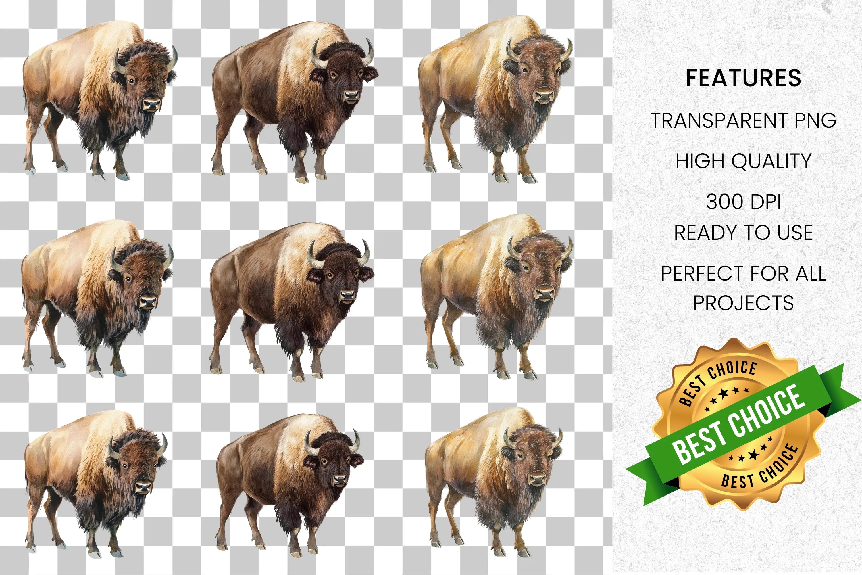 Majestic American Bison Clipart Bundle