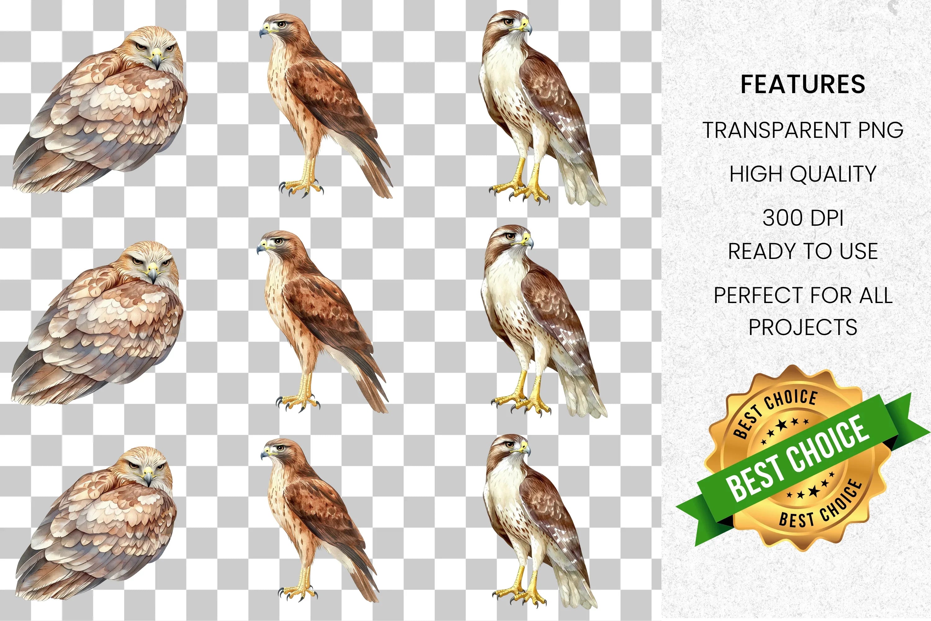 Majestic Hawk Bird Clipart Bundle