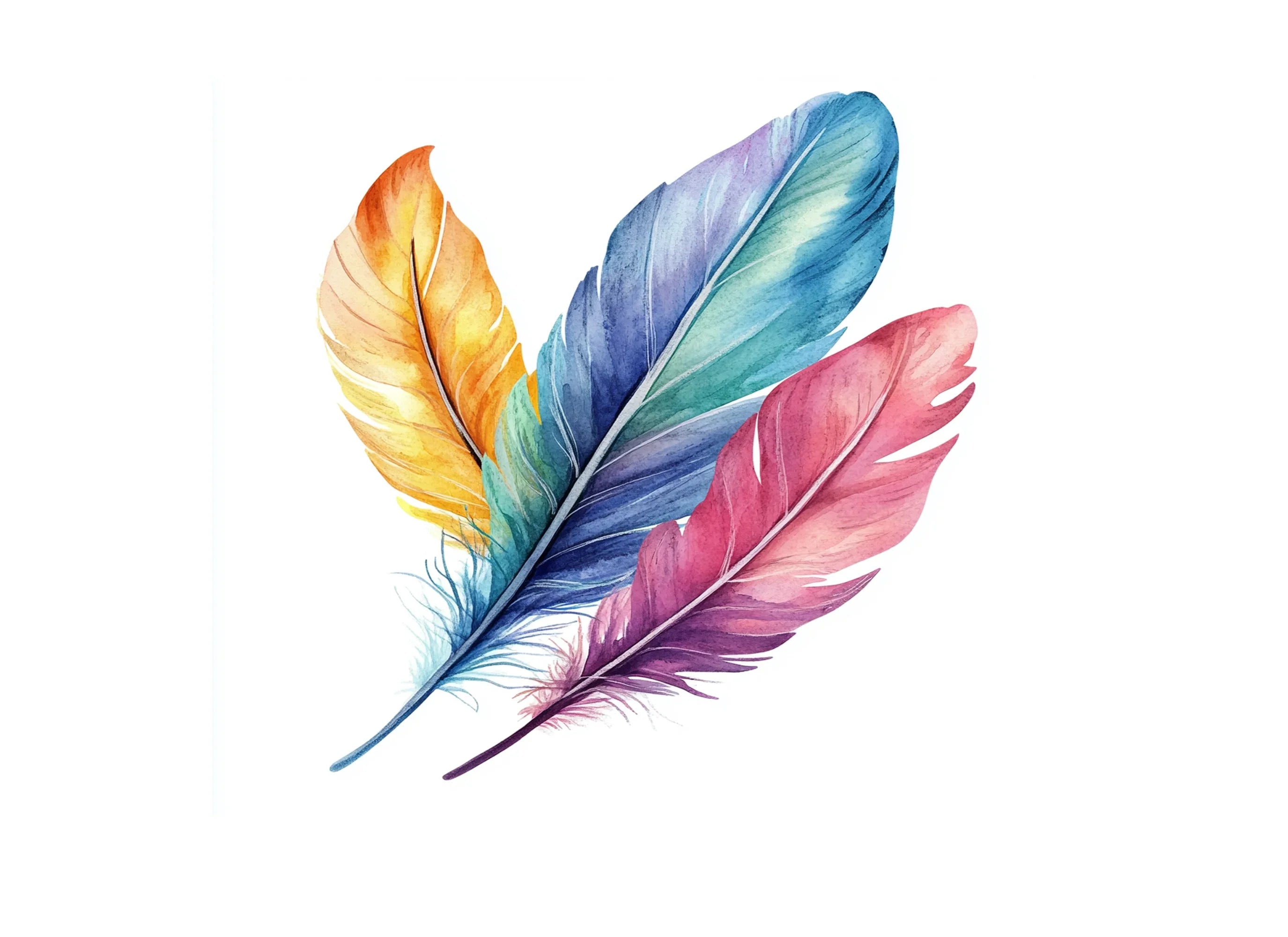 Colorful Feather Arrangement Clipart Bundle