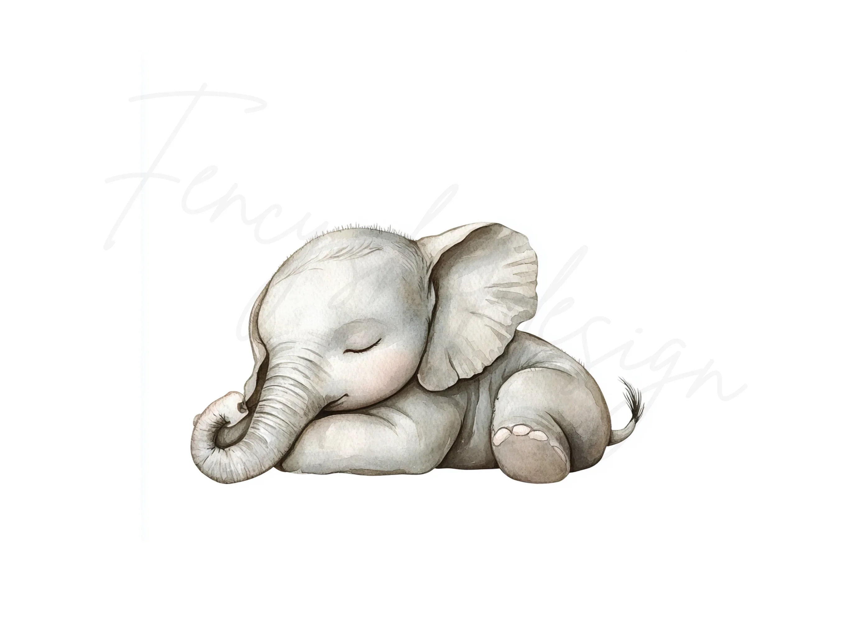 Sleeping Baby Elephant Clipart Bundle
