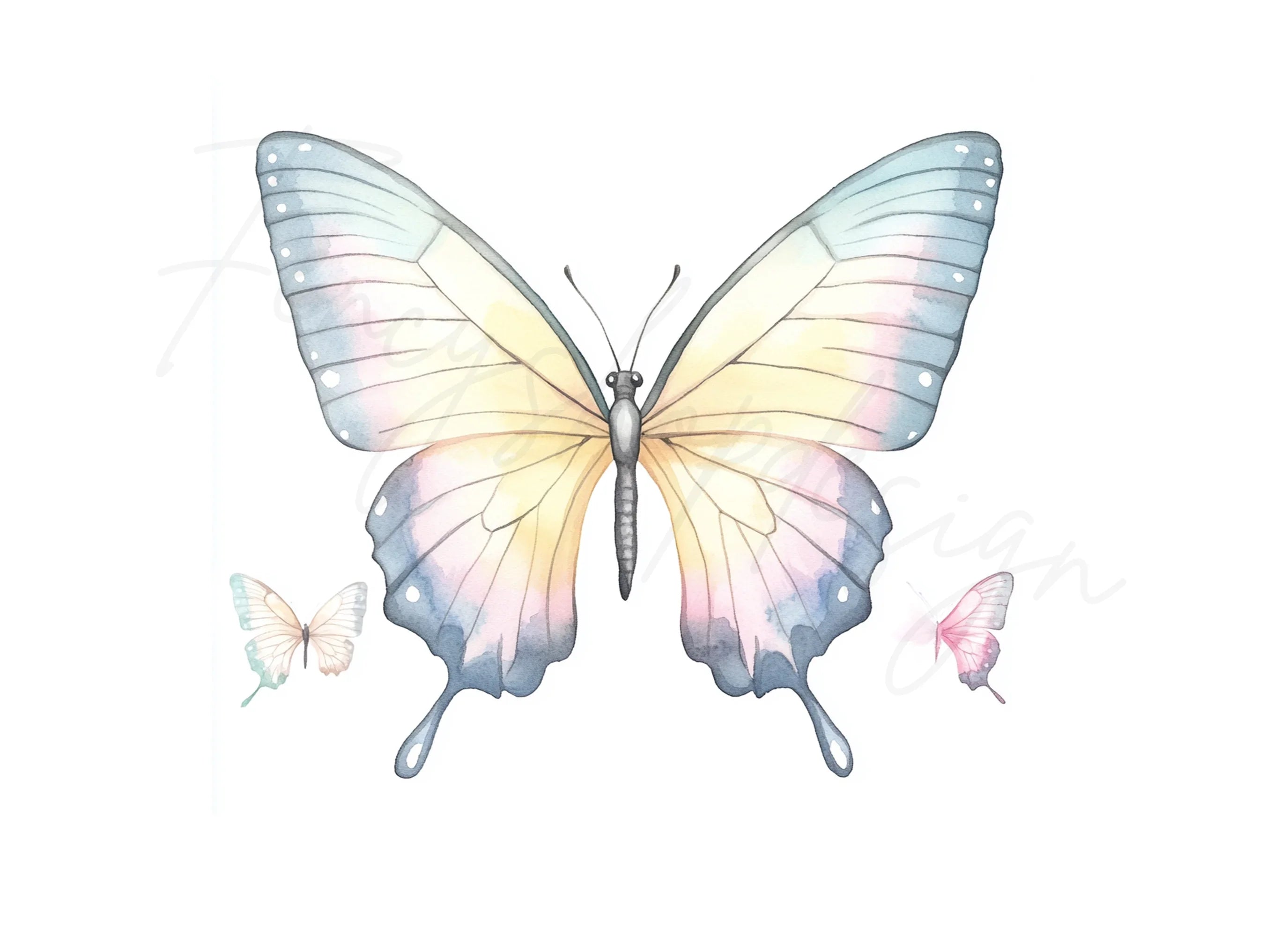 Elegant Butterfly Clipart Bundle