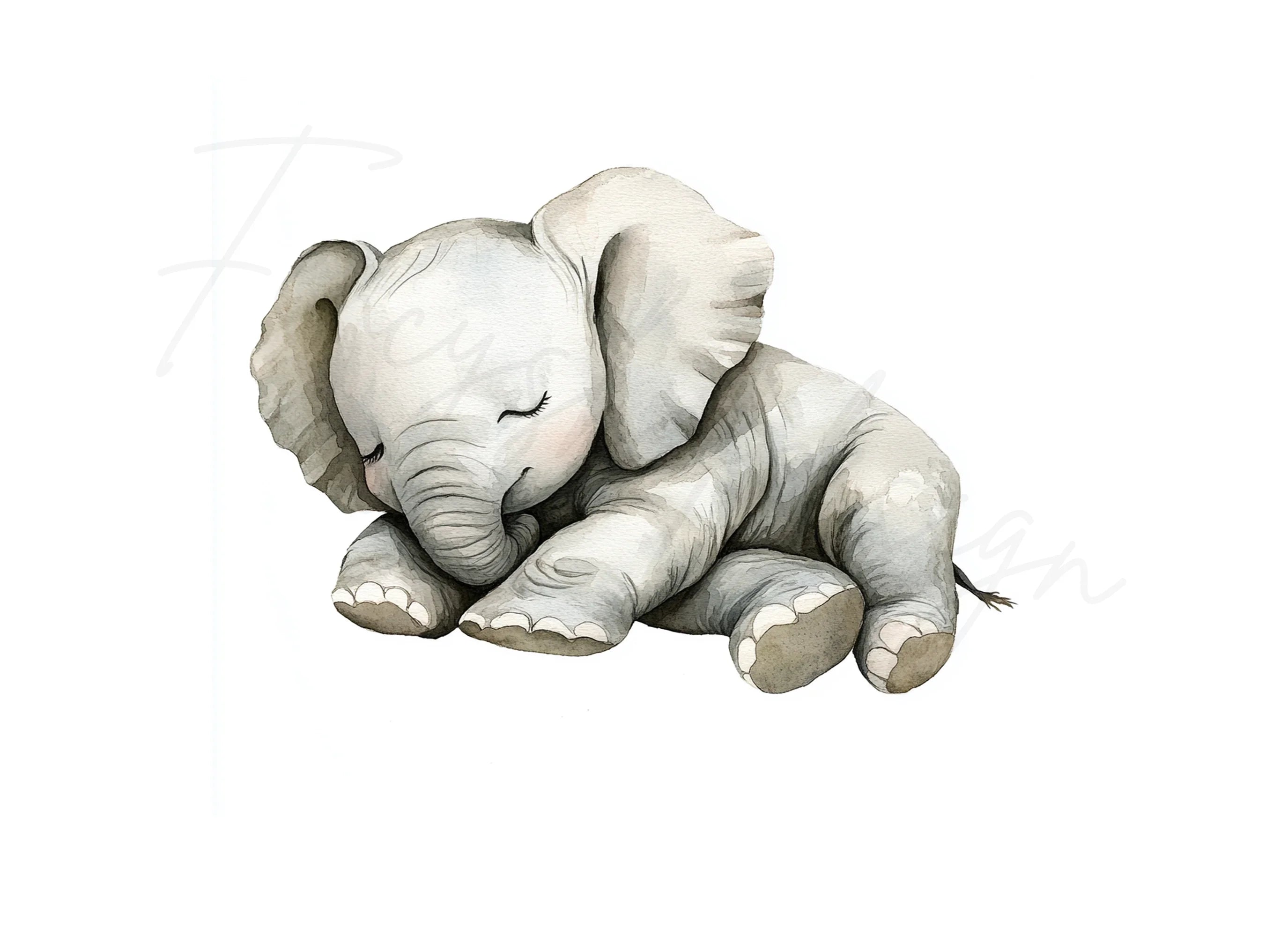 Cute Sleeping Baby Elephant Clipart Bundle
