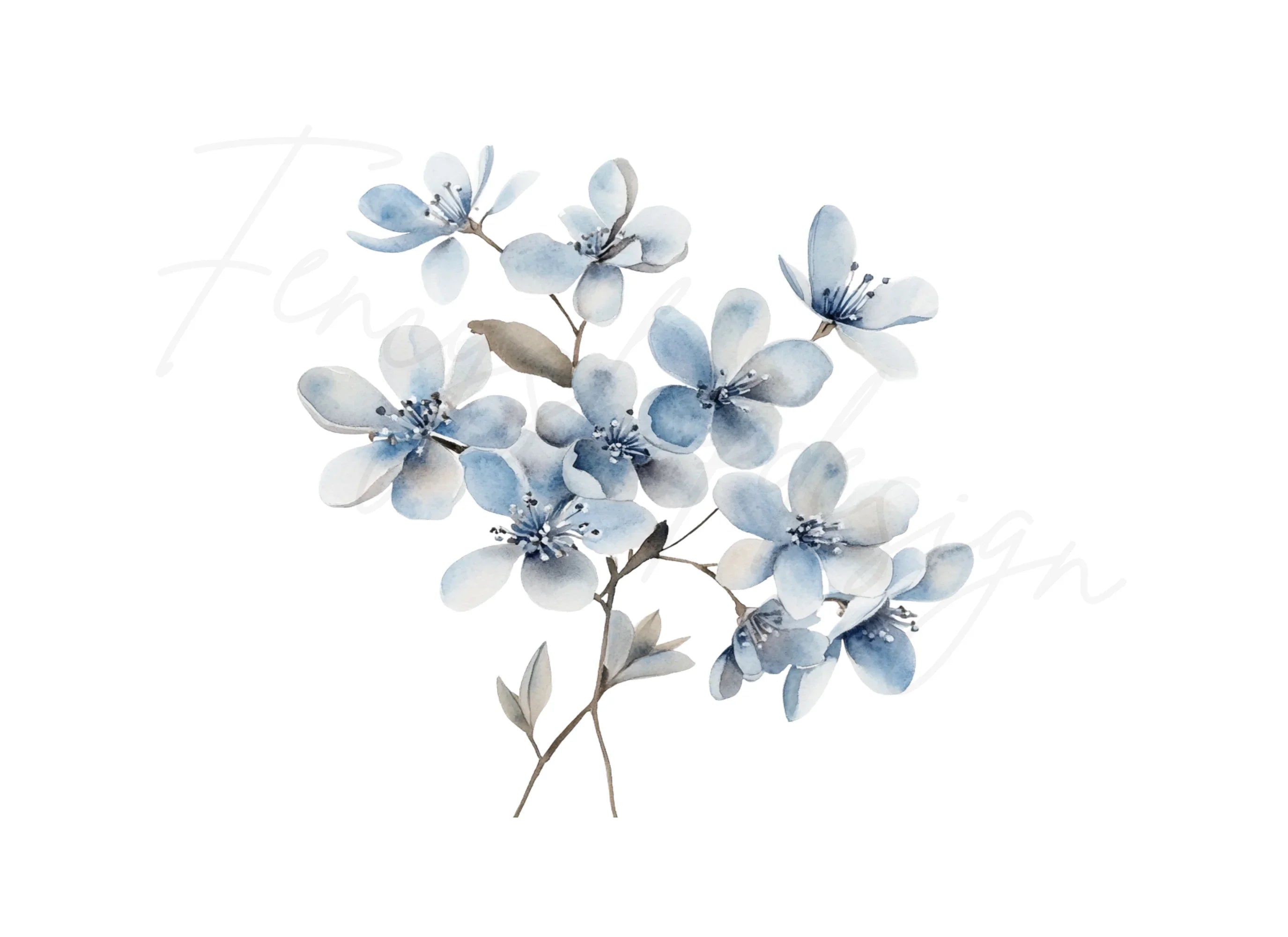 Delicate Blue Floral Clipart Bundle