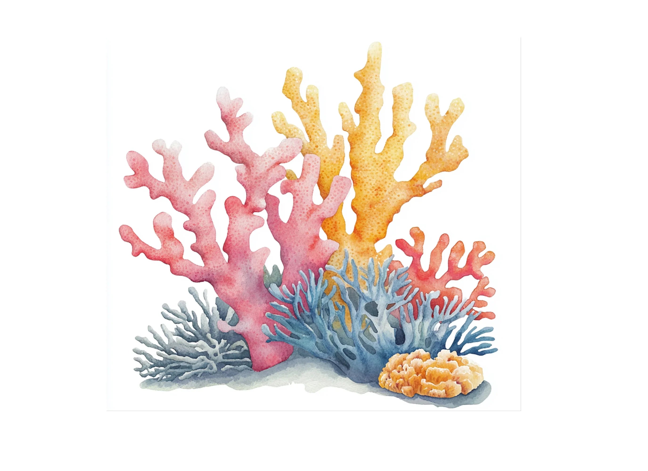 Colorful Coral Reef Elements Clipart Bundle