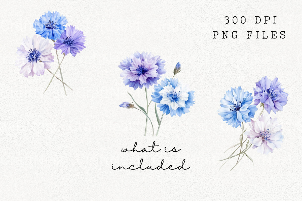 Blue Cornflower Clipart Bundle