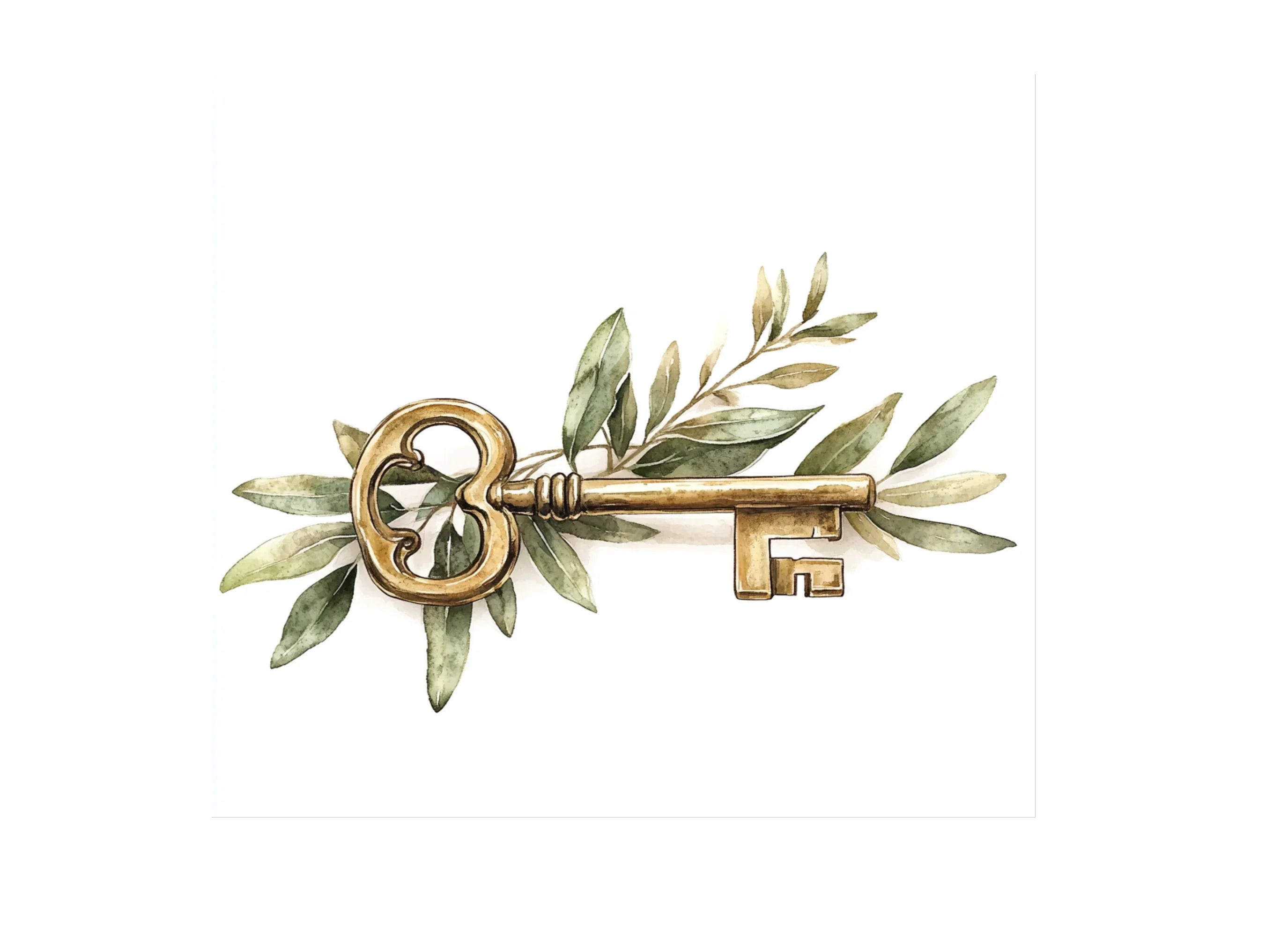 Olive Branch Keys Clipart Bundle