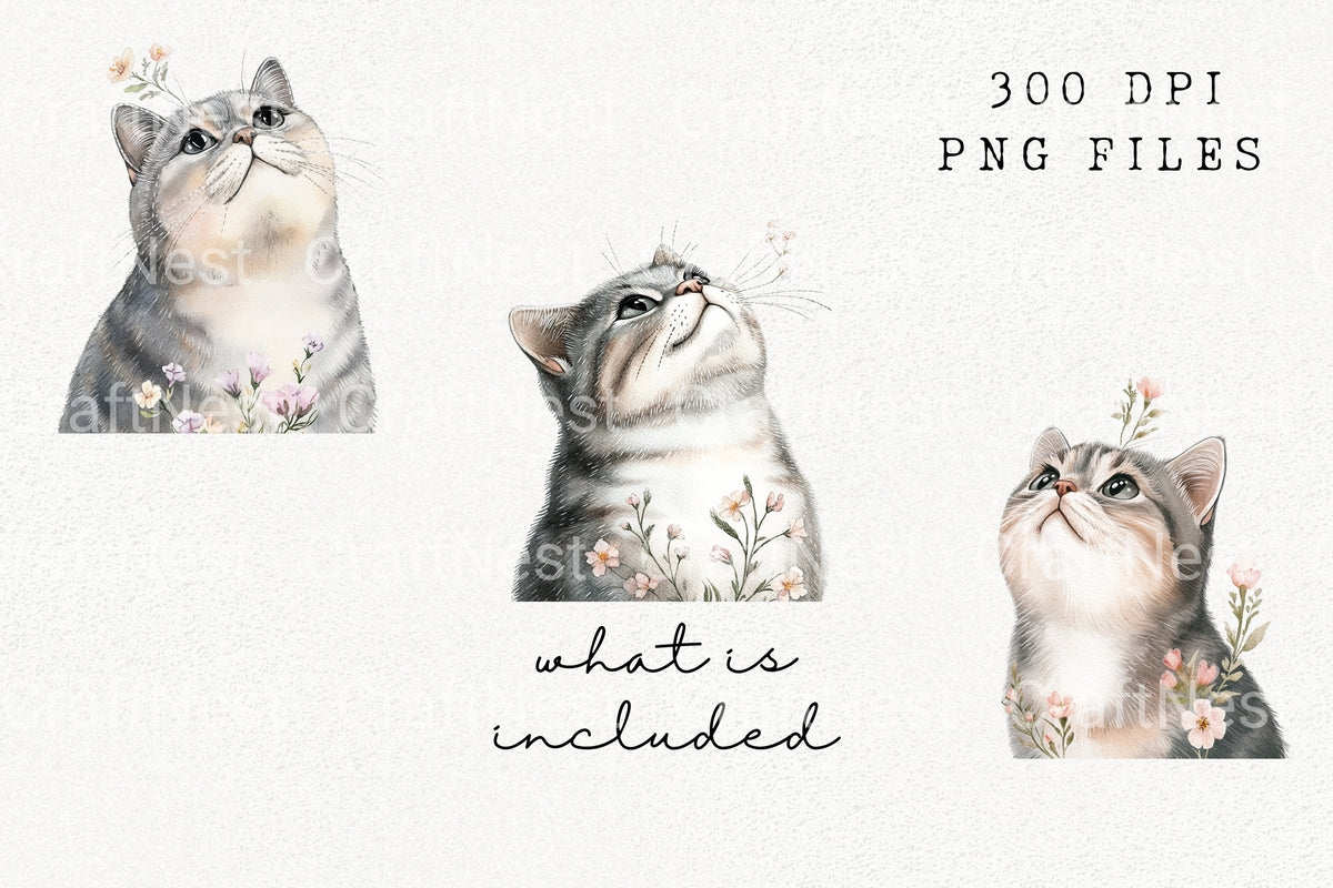 Kitten With Floral Sprigs Illustrations Clipart Bundle