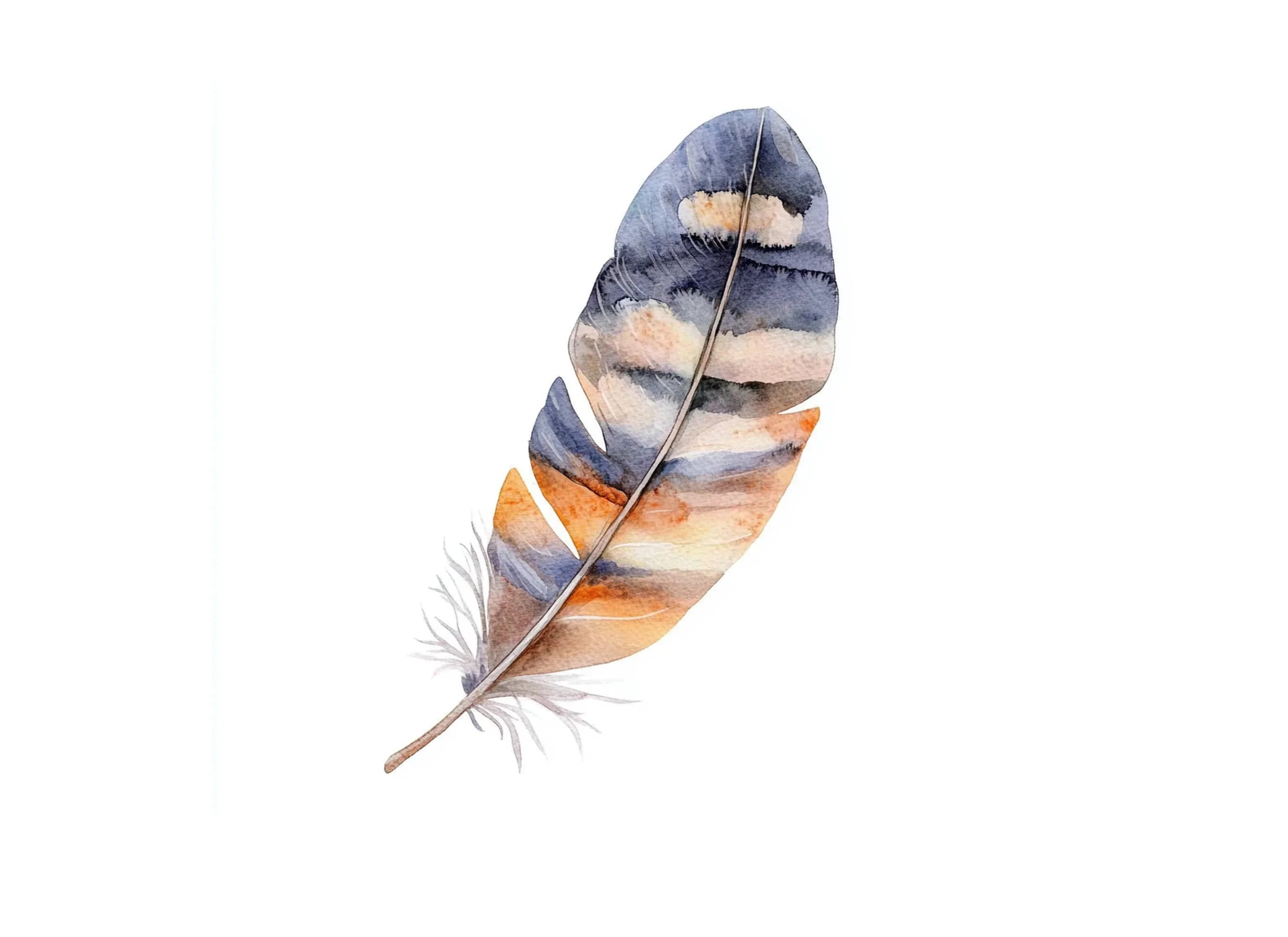 Boho Feather Clipart Bundle