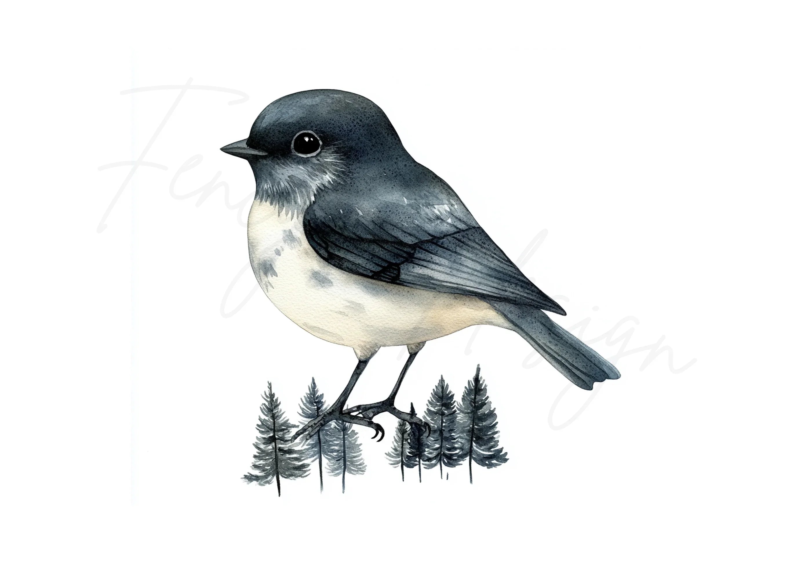 Forest Bird Clipart Bundle