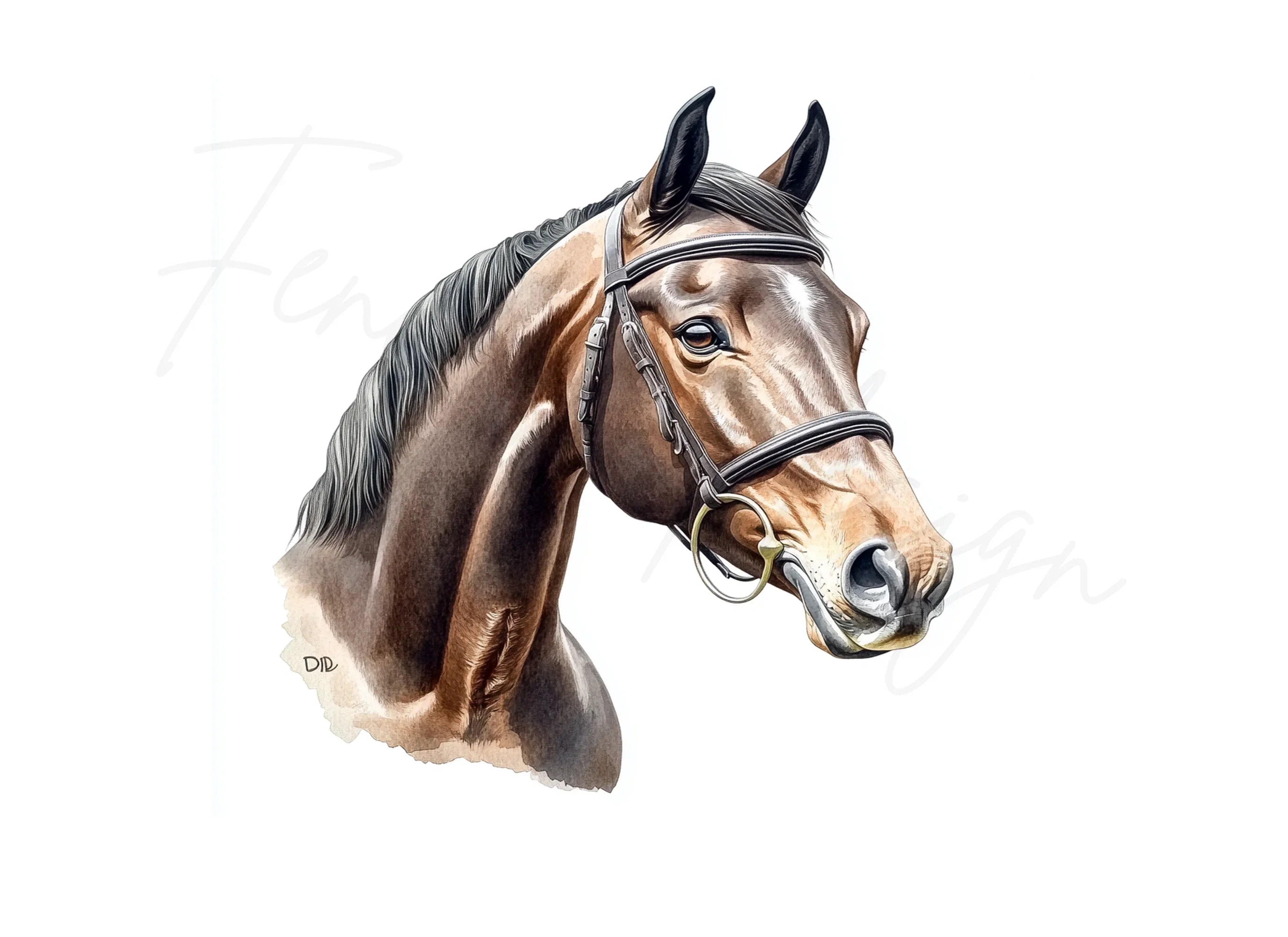 Horse Head Clipart Bundle