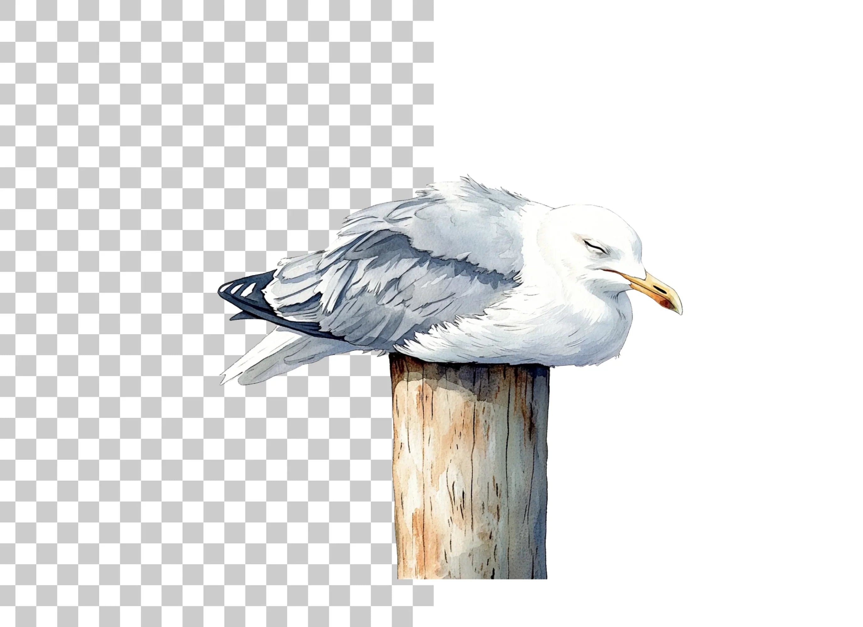 Sleeping Seagulls on Wooden Posts Clipart Bundle