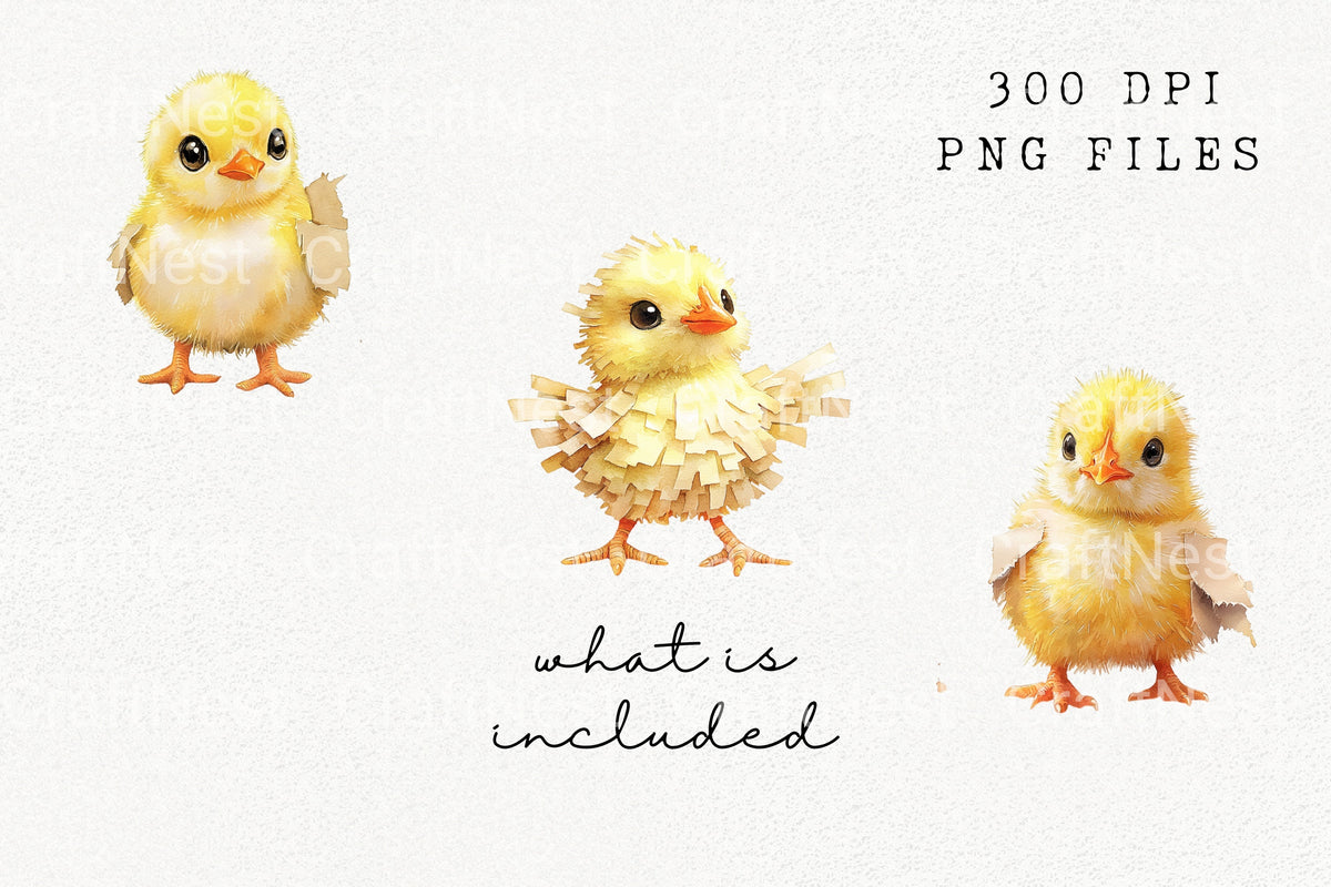 Cute Baby Chick Clipart Bundle