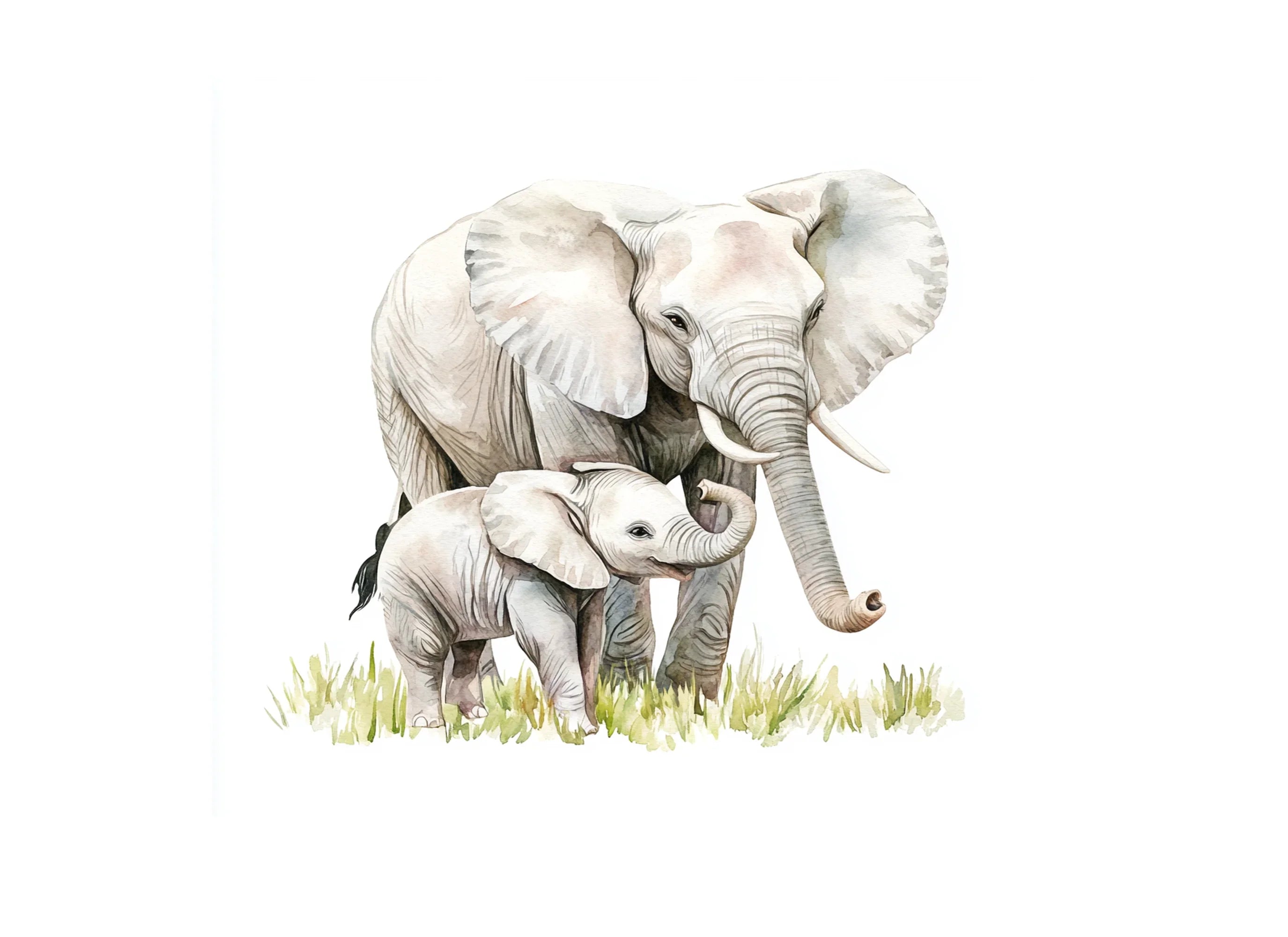 Elephant Mother and Baby Clipart Bundle