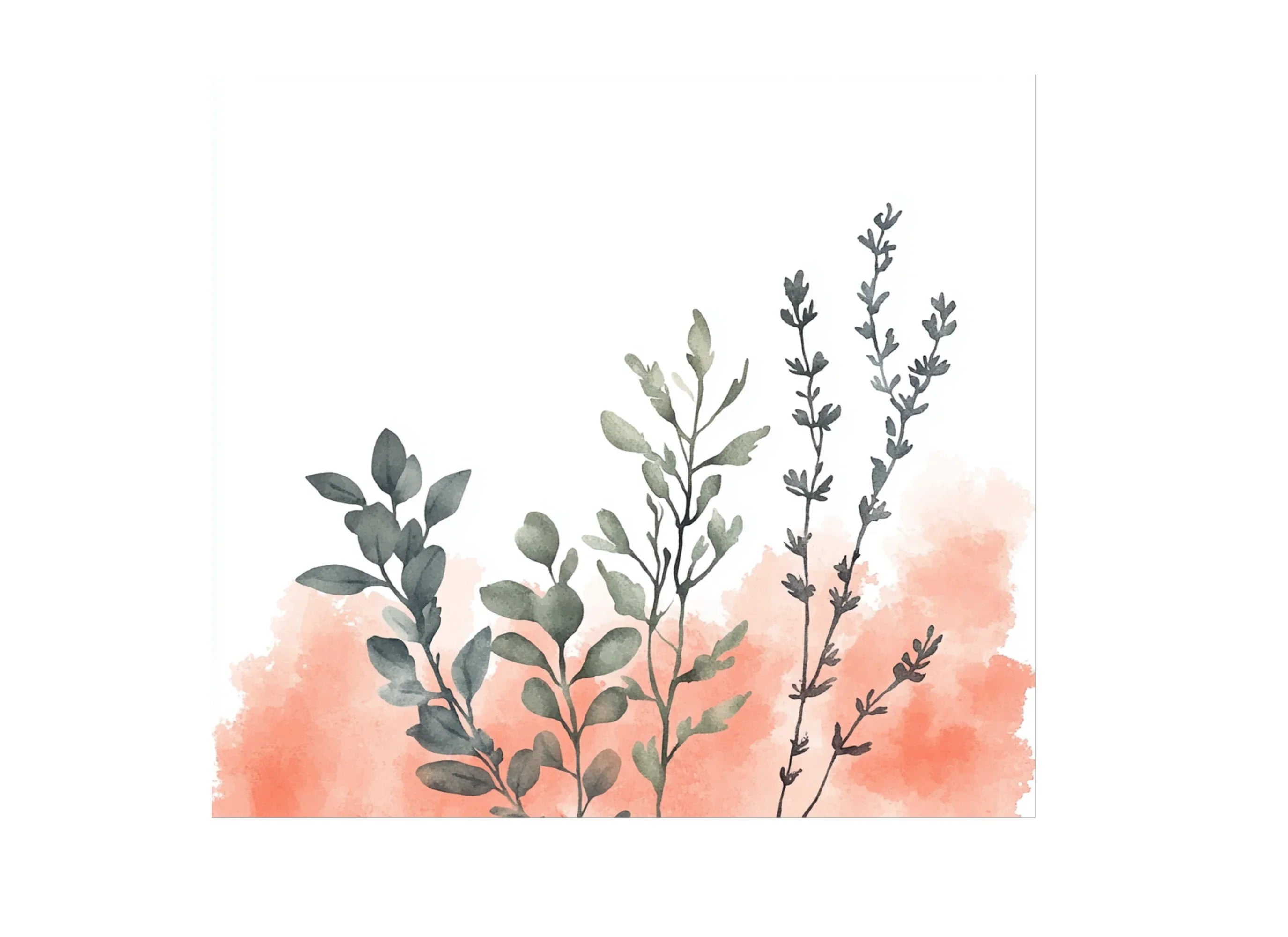 Botanical Clipart Bundle