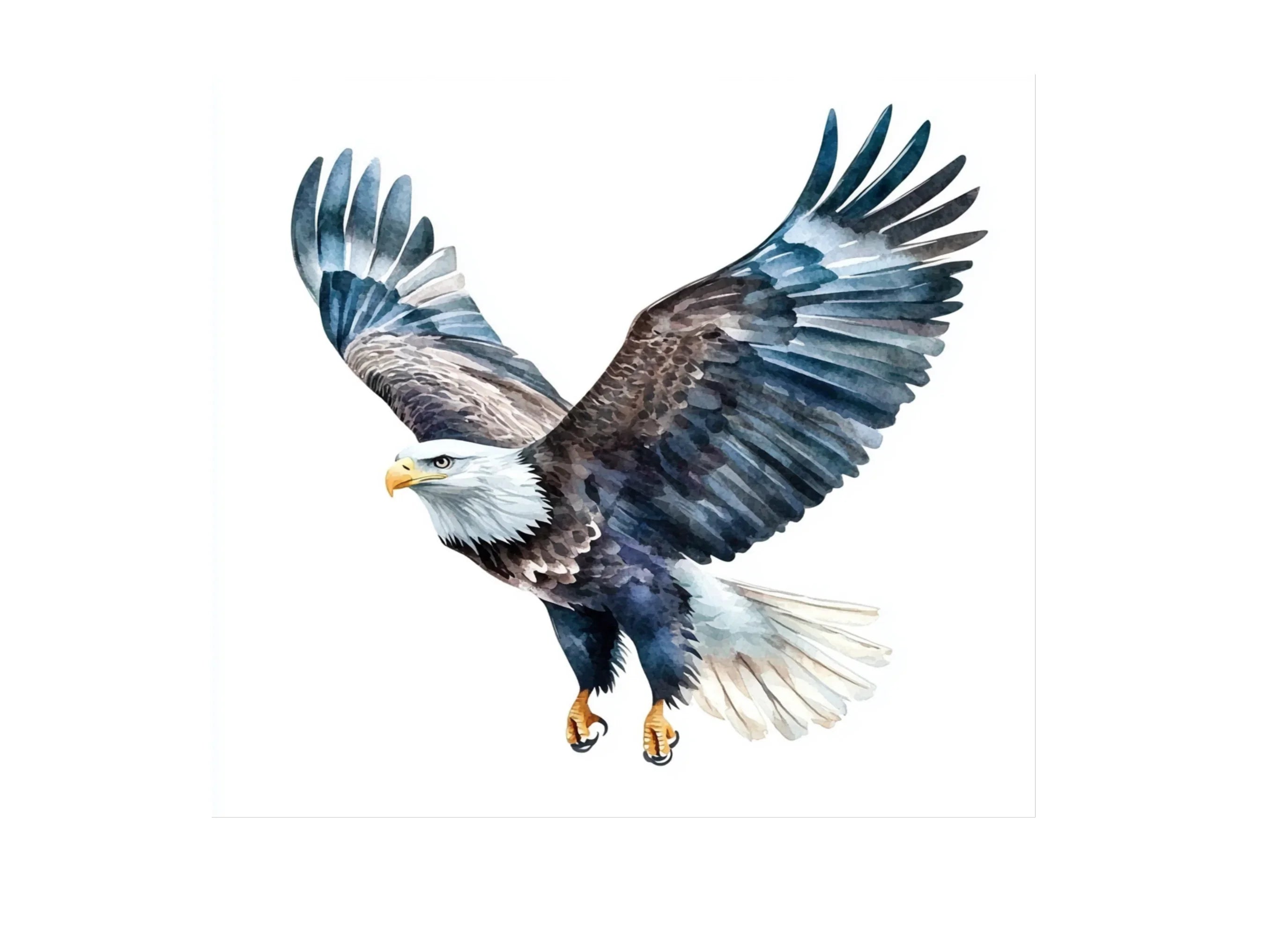 Majestic Bald Eagle Clipart Bundle