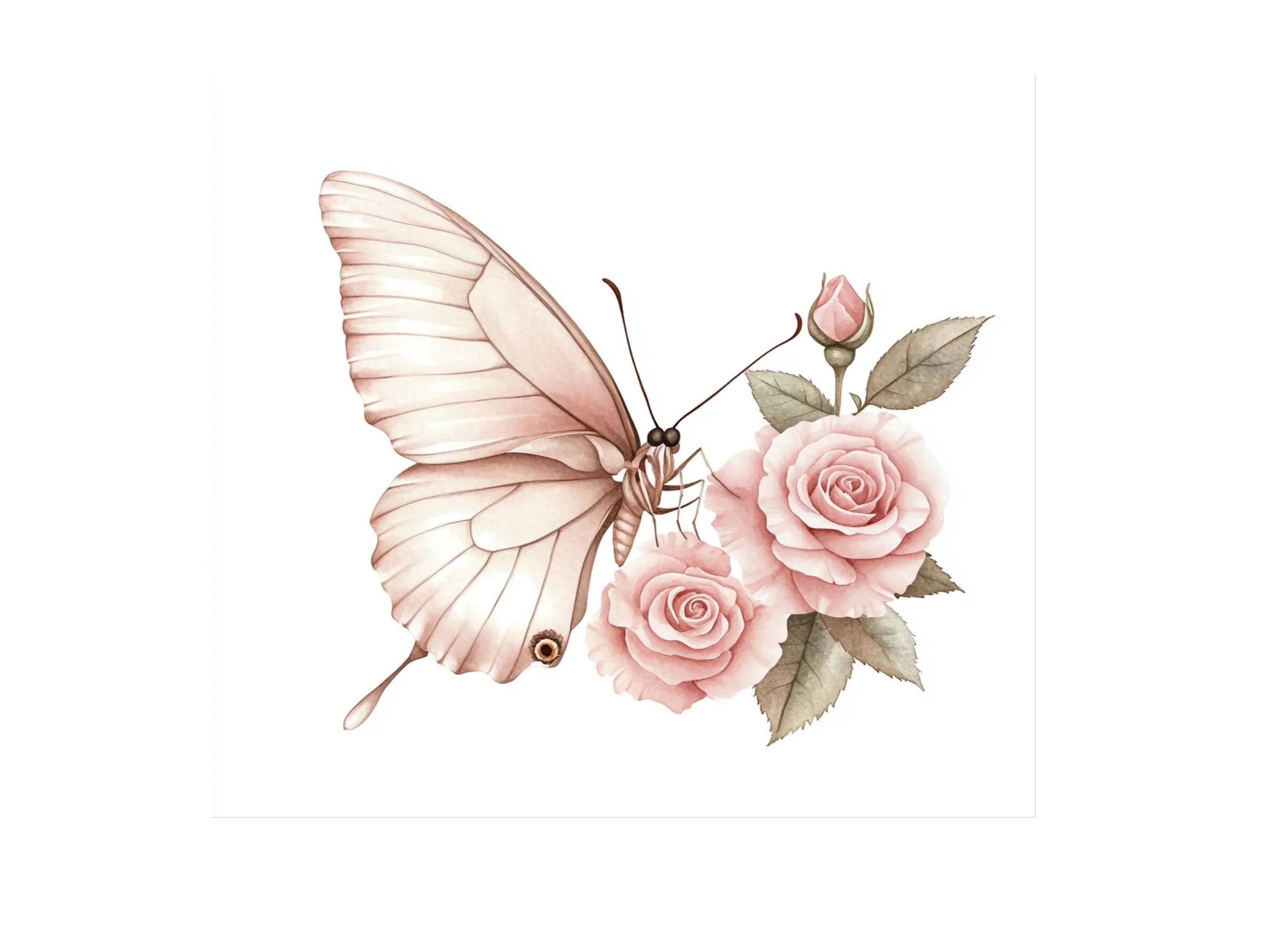 Elegant Butterfly Blush Rose Clipart Bundle