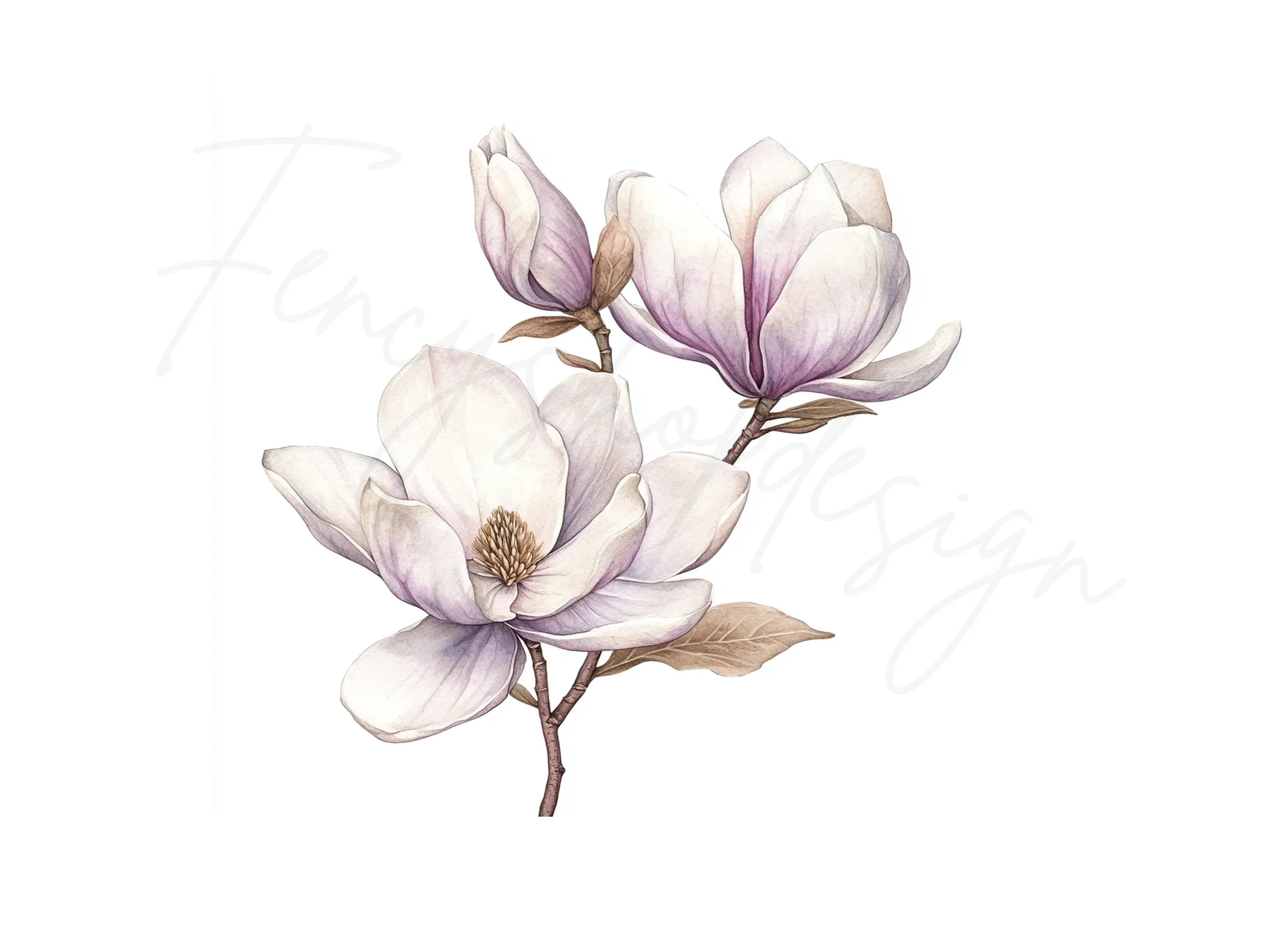 Magnolia Blossom Clipart Bundle