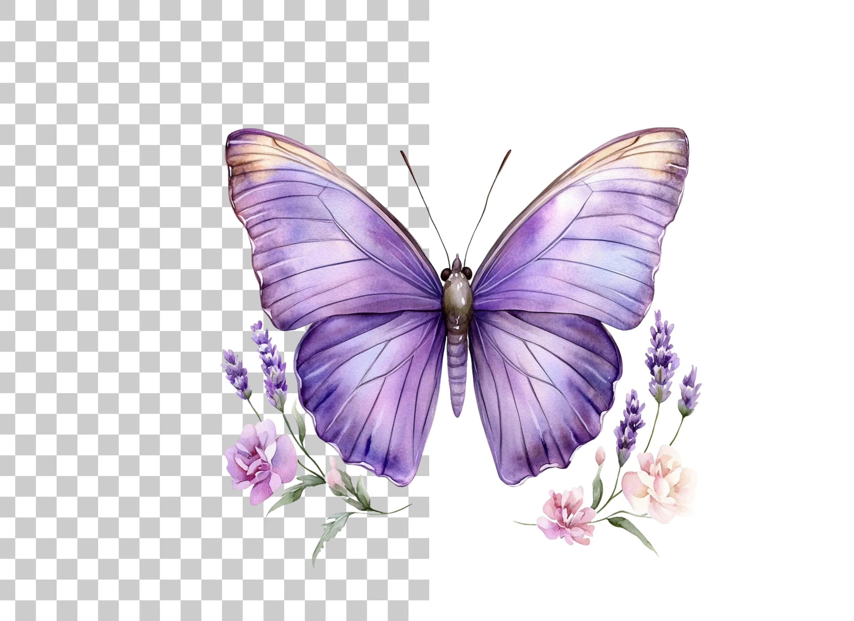 Purple Butterfly and Lavender Clipart Bundle