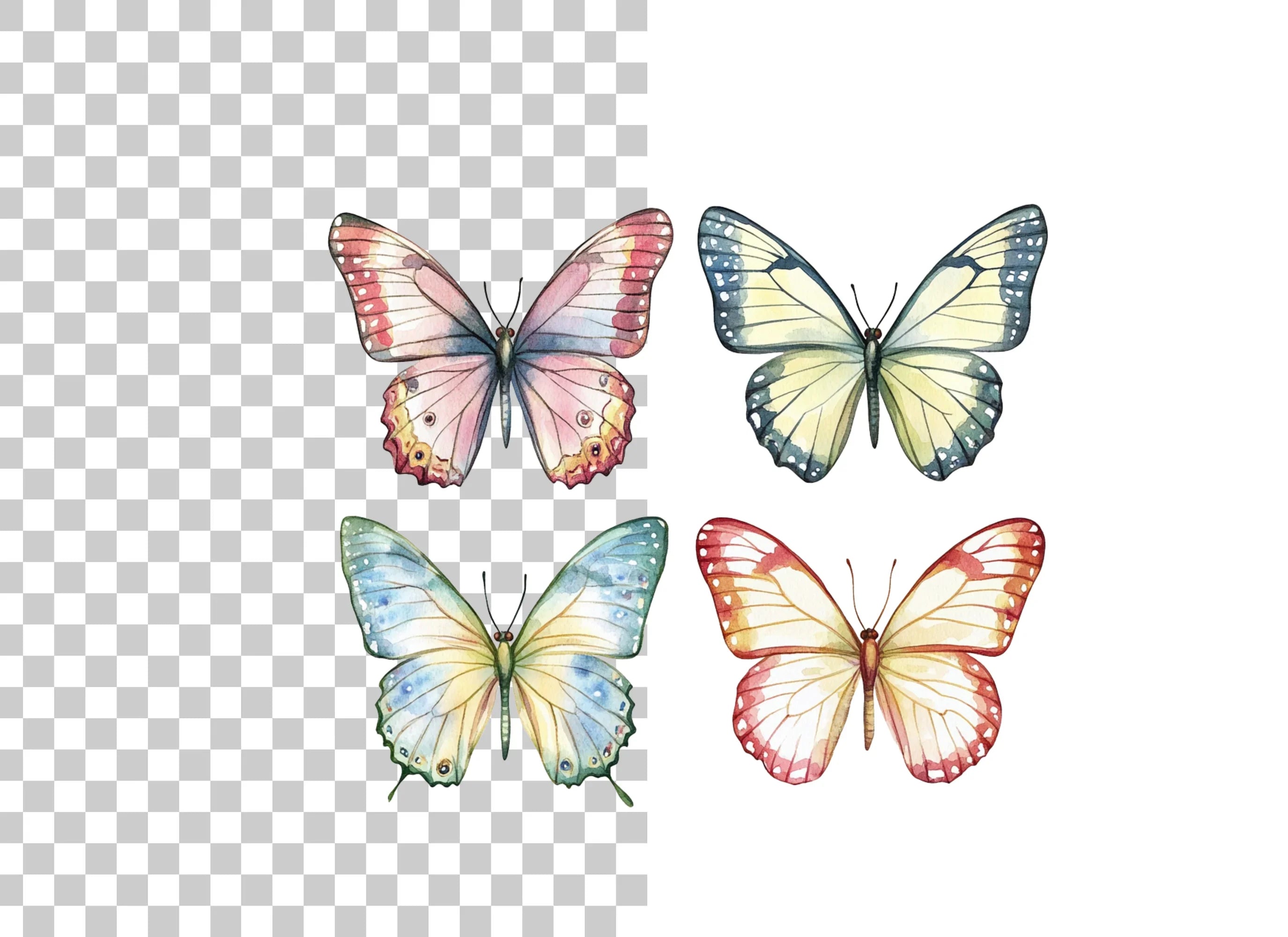Butterfly Clipart Bundle