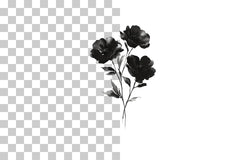 Black and White Floral Art Clipart Bundle - CraftNest - Digital Crafting and Art