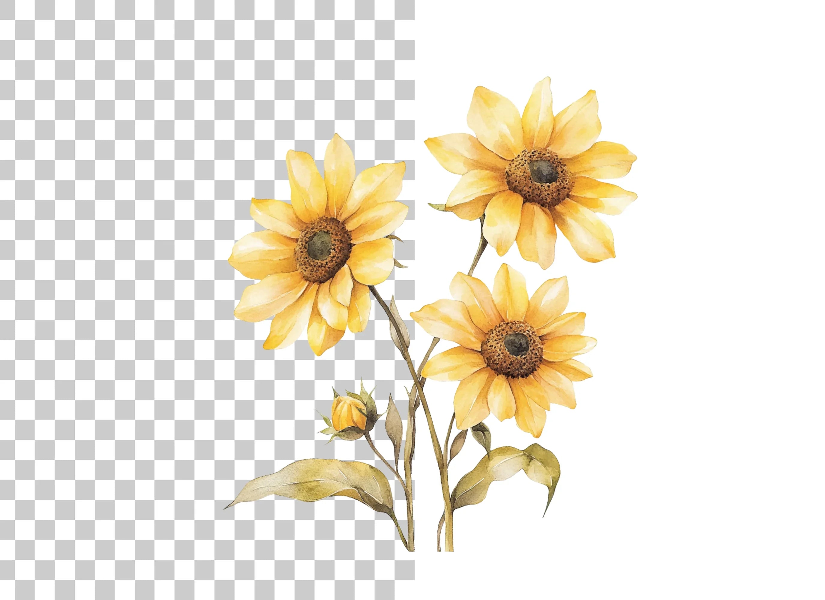 Sunflower Clipart Bundle